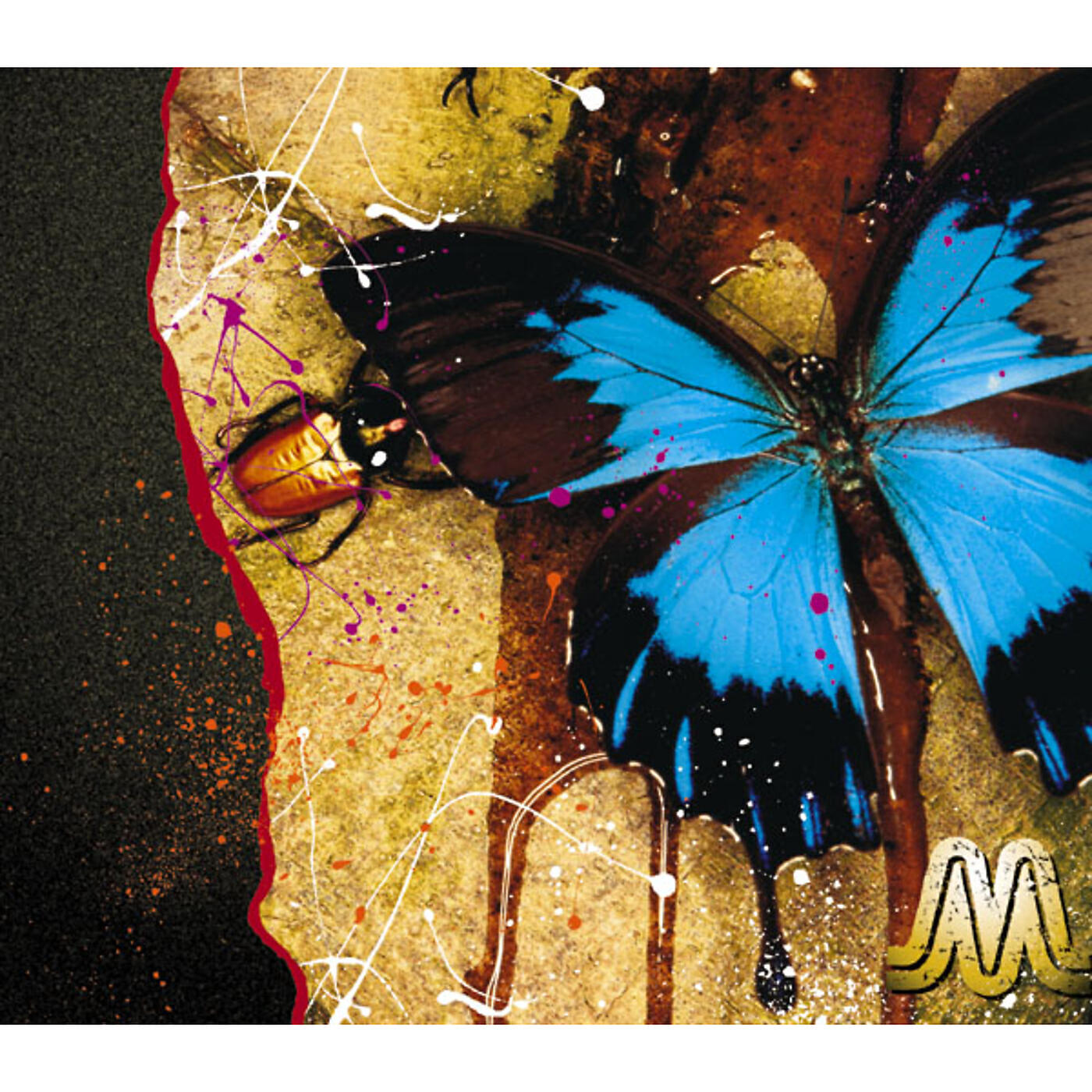 Релиз Kindan no Mori