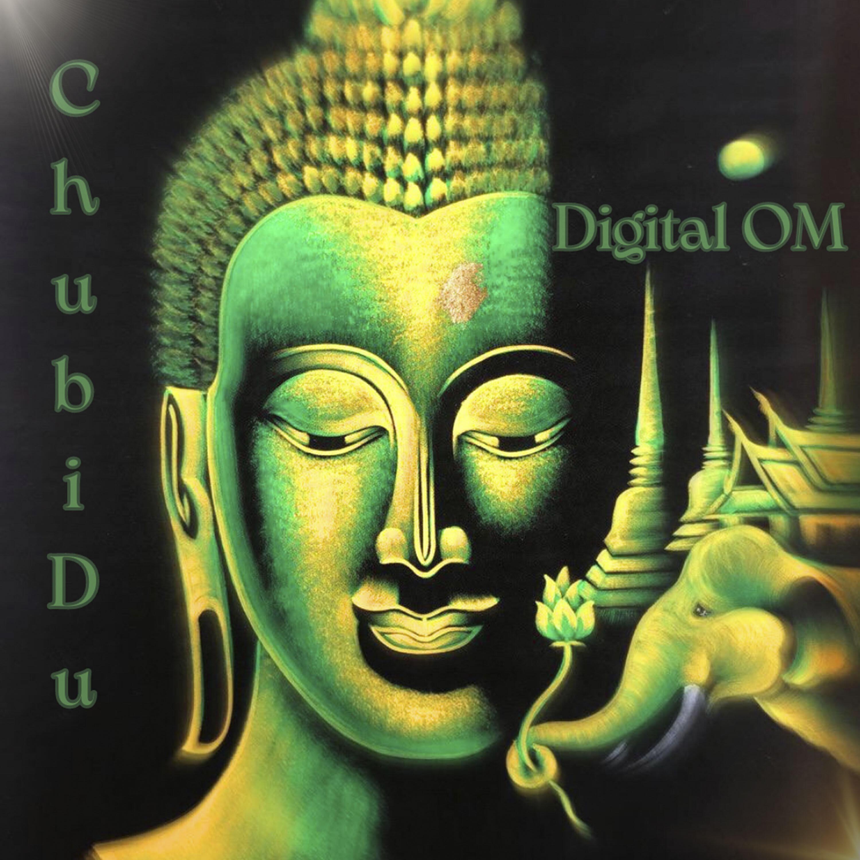 ChubiDu