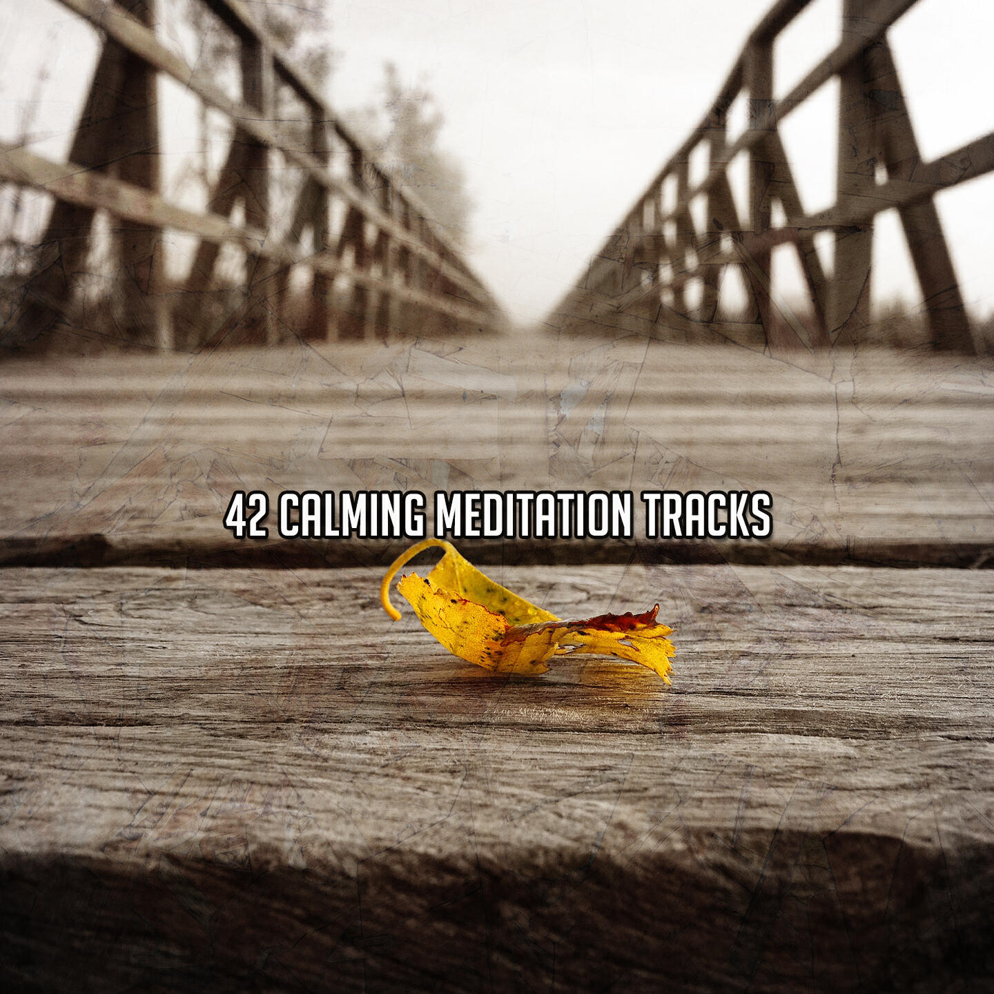 Релиз 42 Calming Meditation Tracks