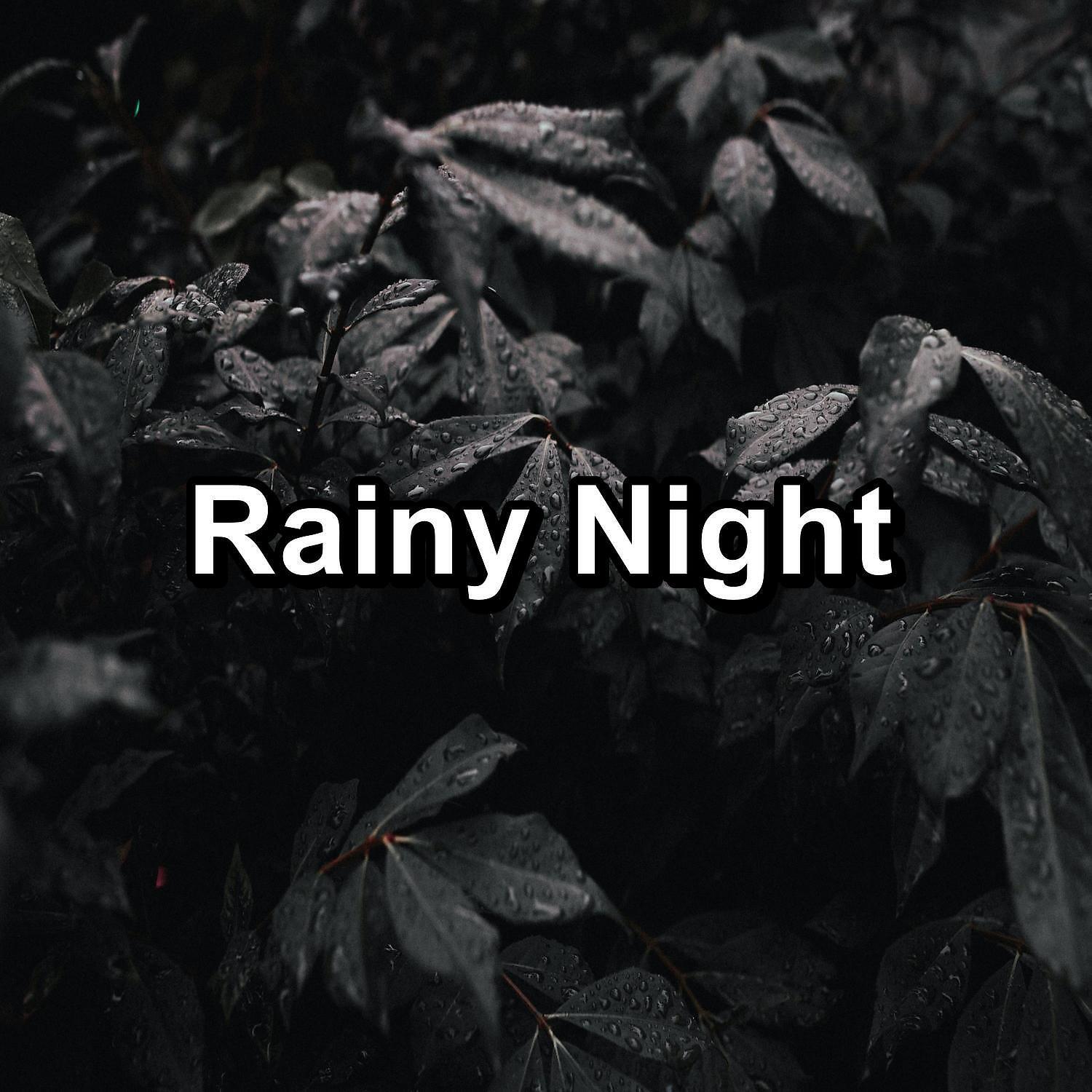 Релиз Rainy Night