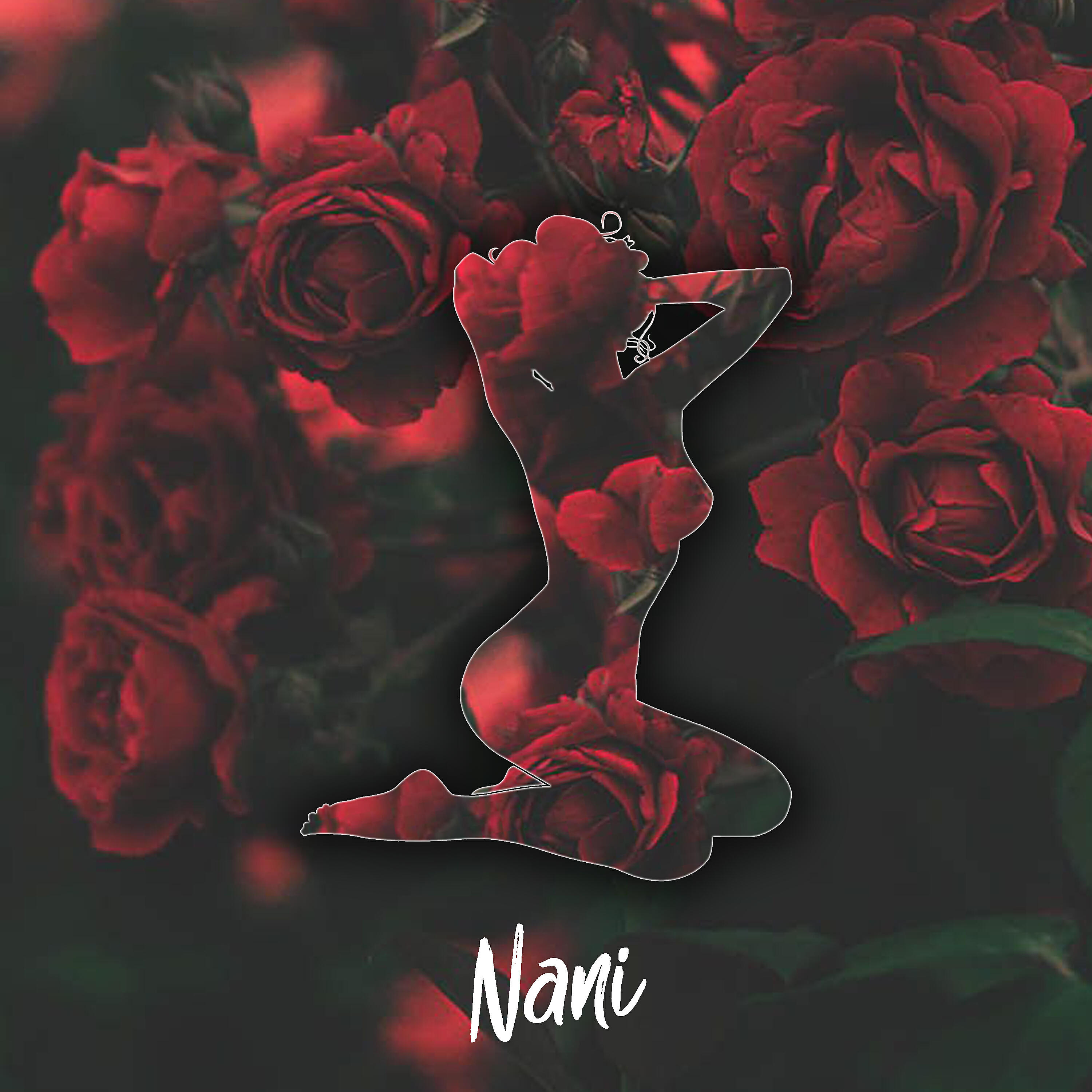 Релиз Nani