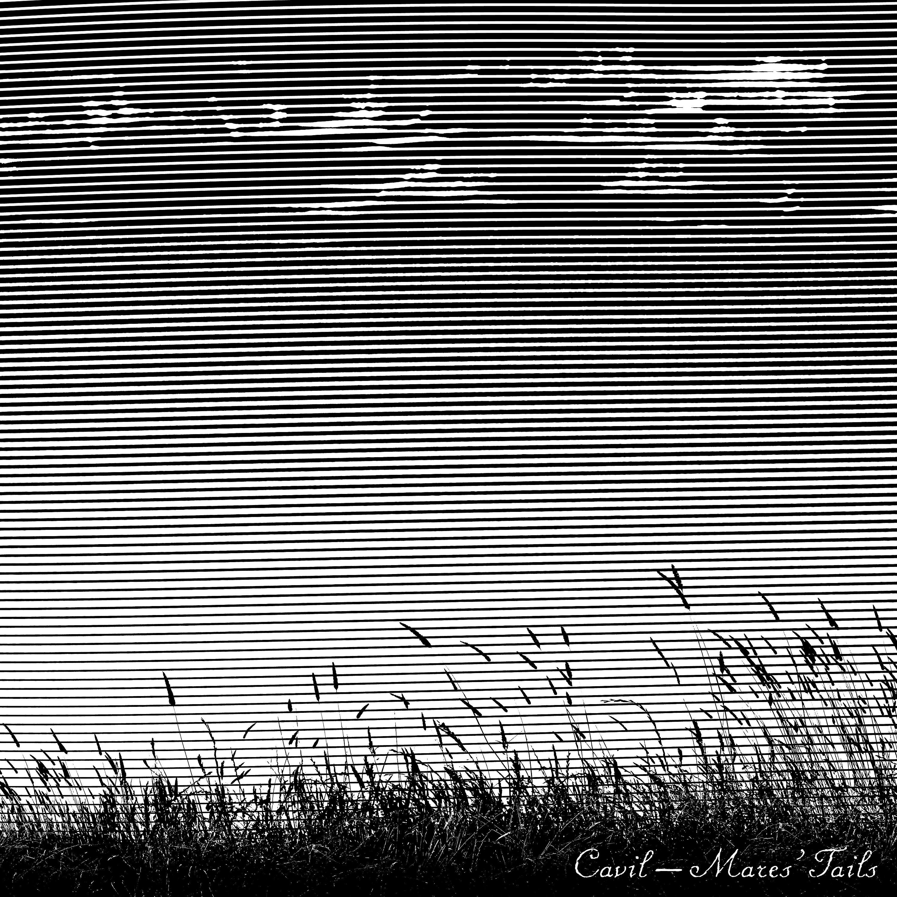 Релиз Mares' Tails