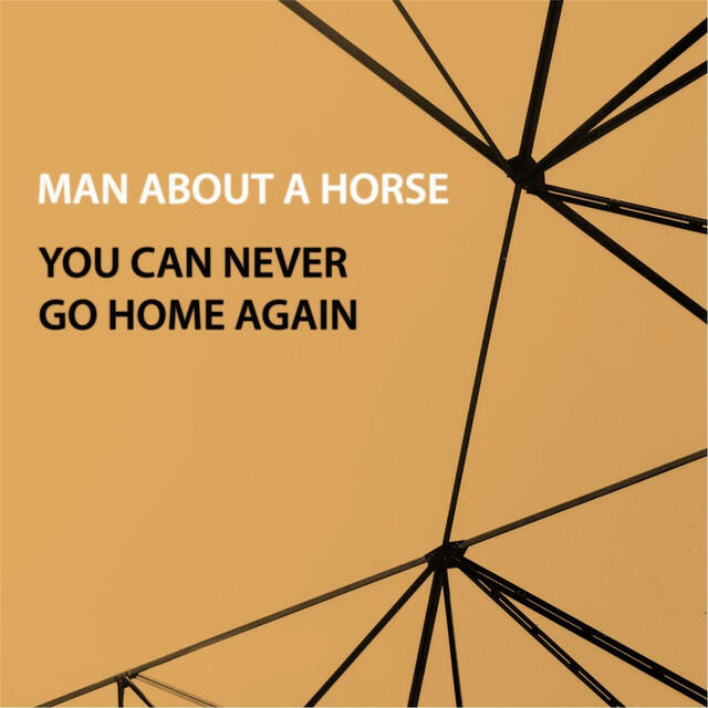 Релиз You Can Never Go Home Again