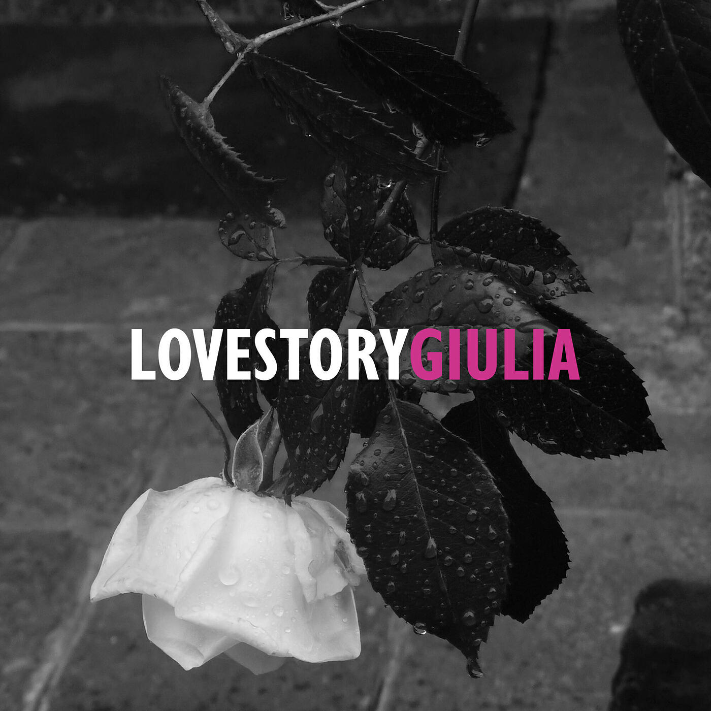 Постер альбома Love Story