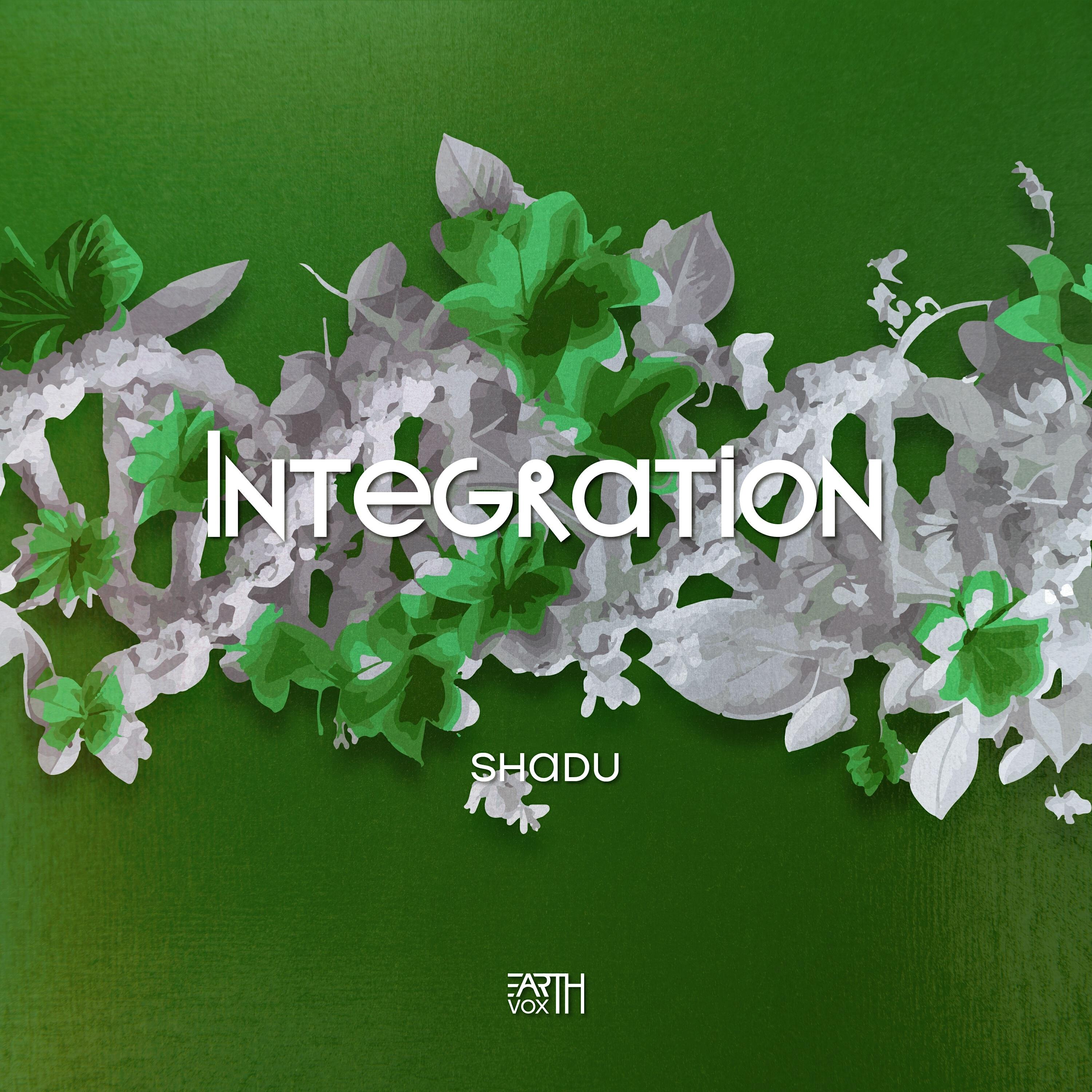 Релиз Integration