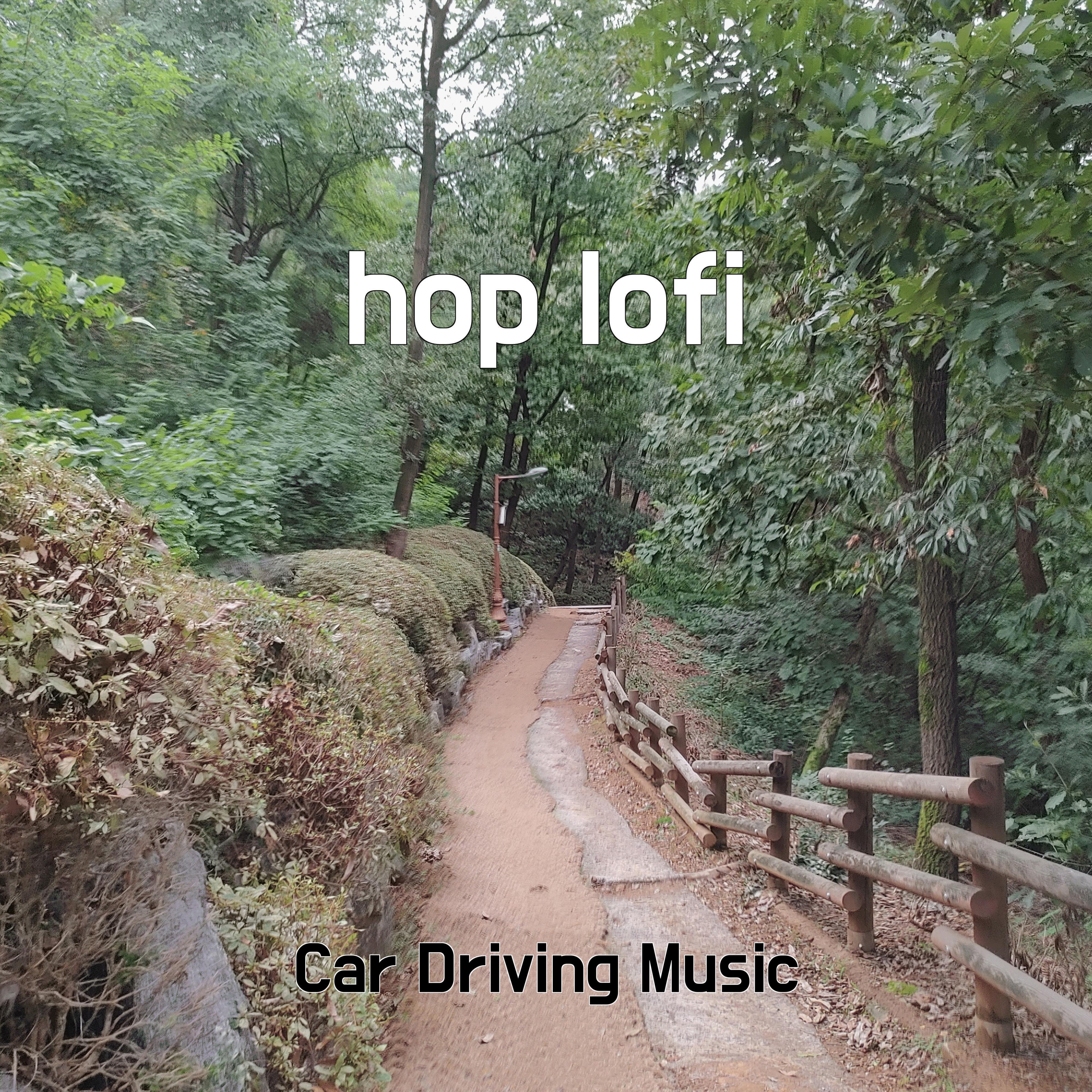 Релиз hop lofi