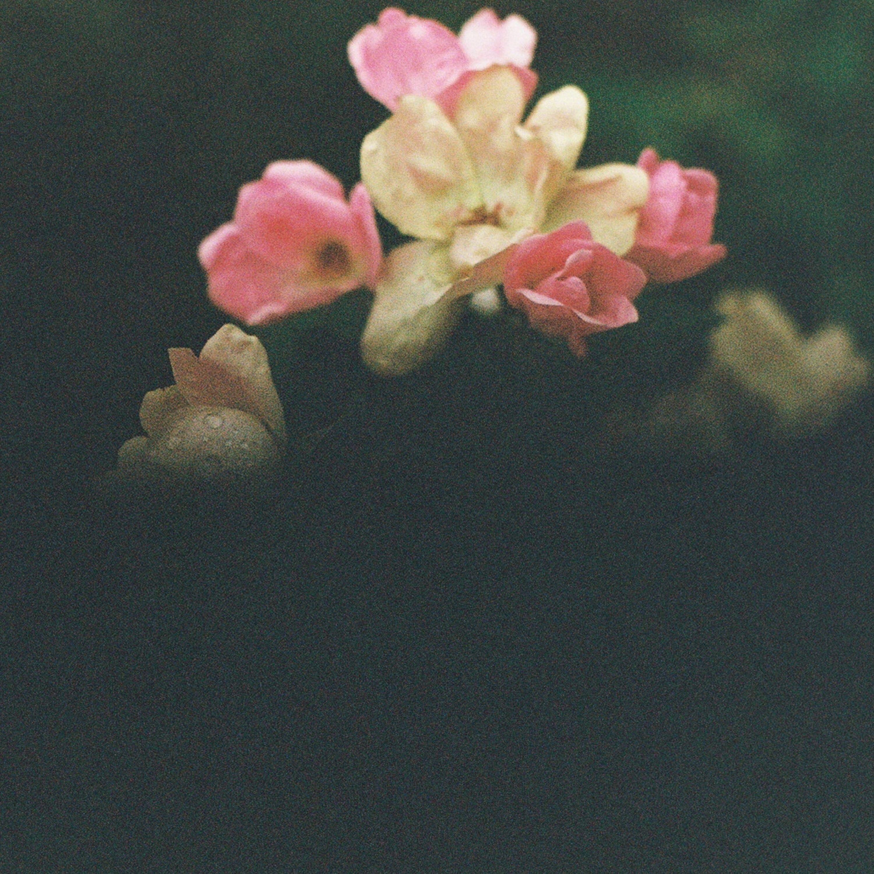 Kathi Hendrick