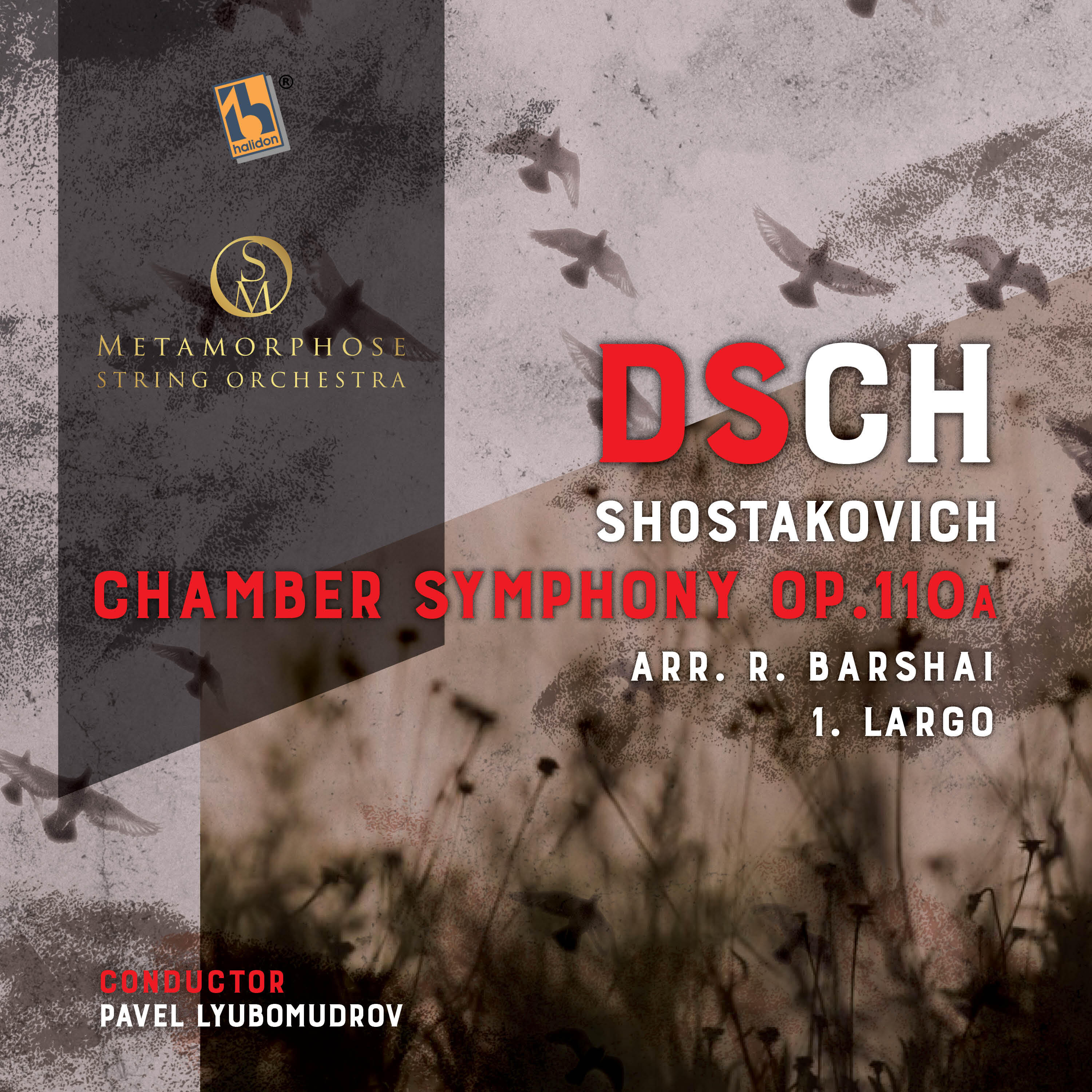 Релиз Chamber Symphony in C Minor, Op. 110a: I. Largo