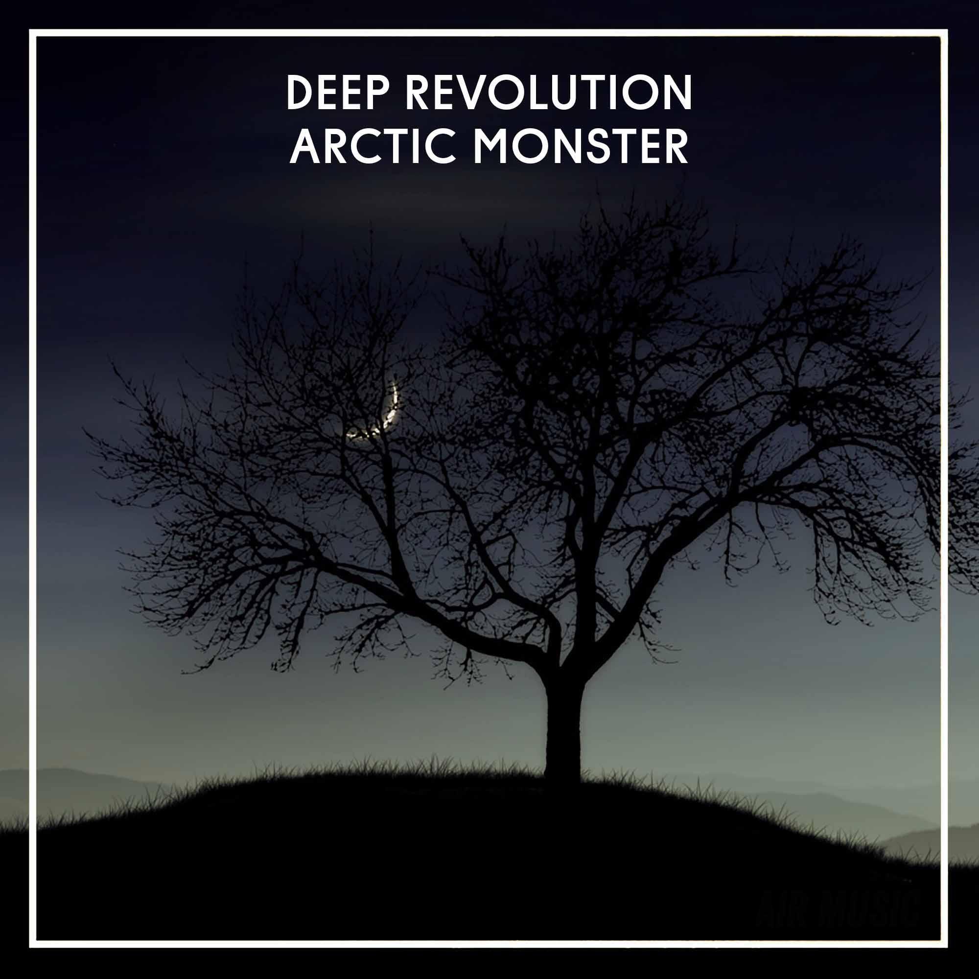 Релиз Arctic Monster
