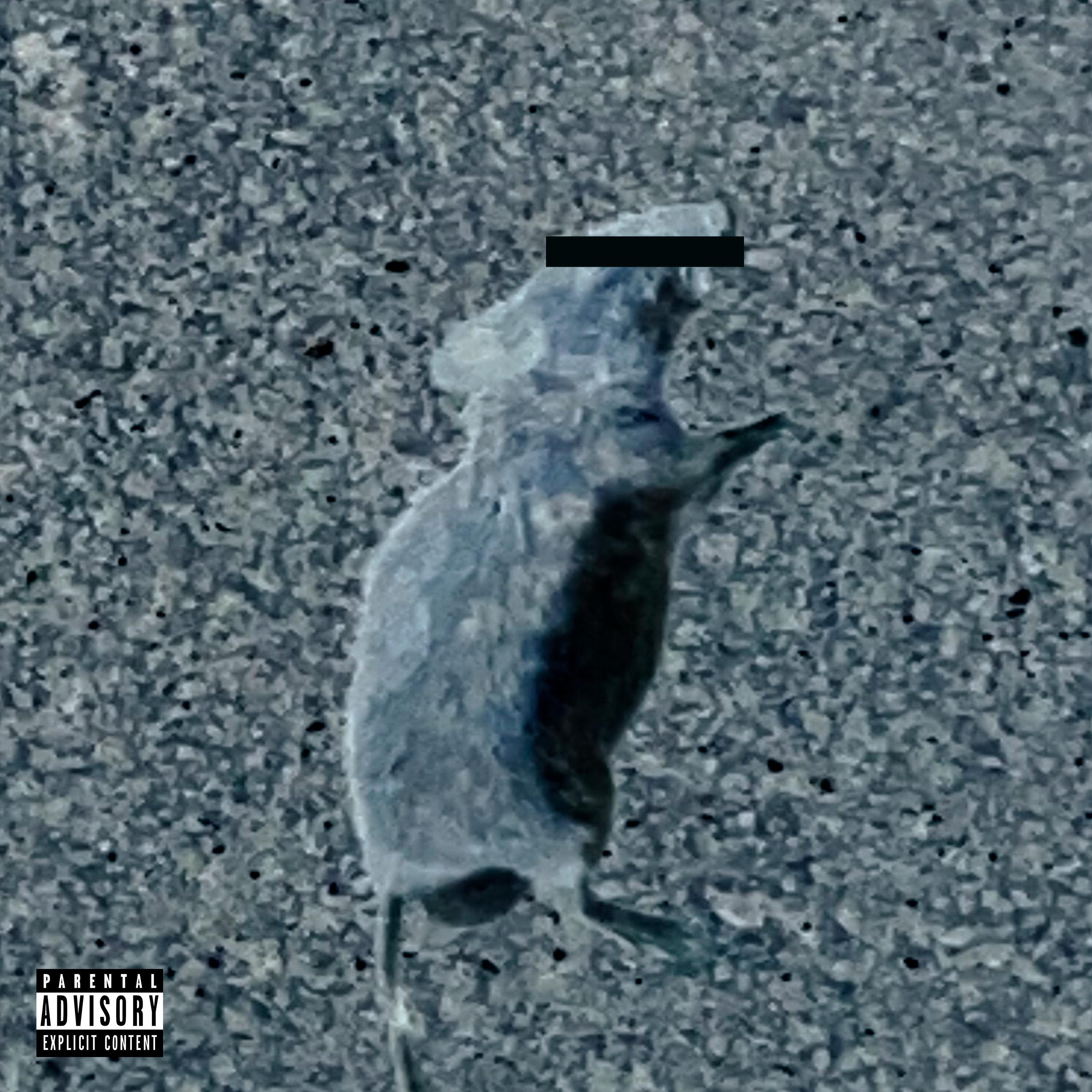 Релиз SLIDE