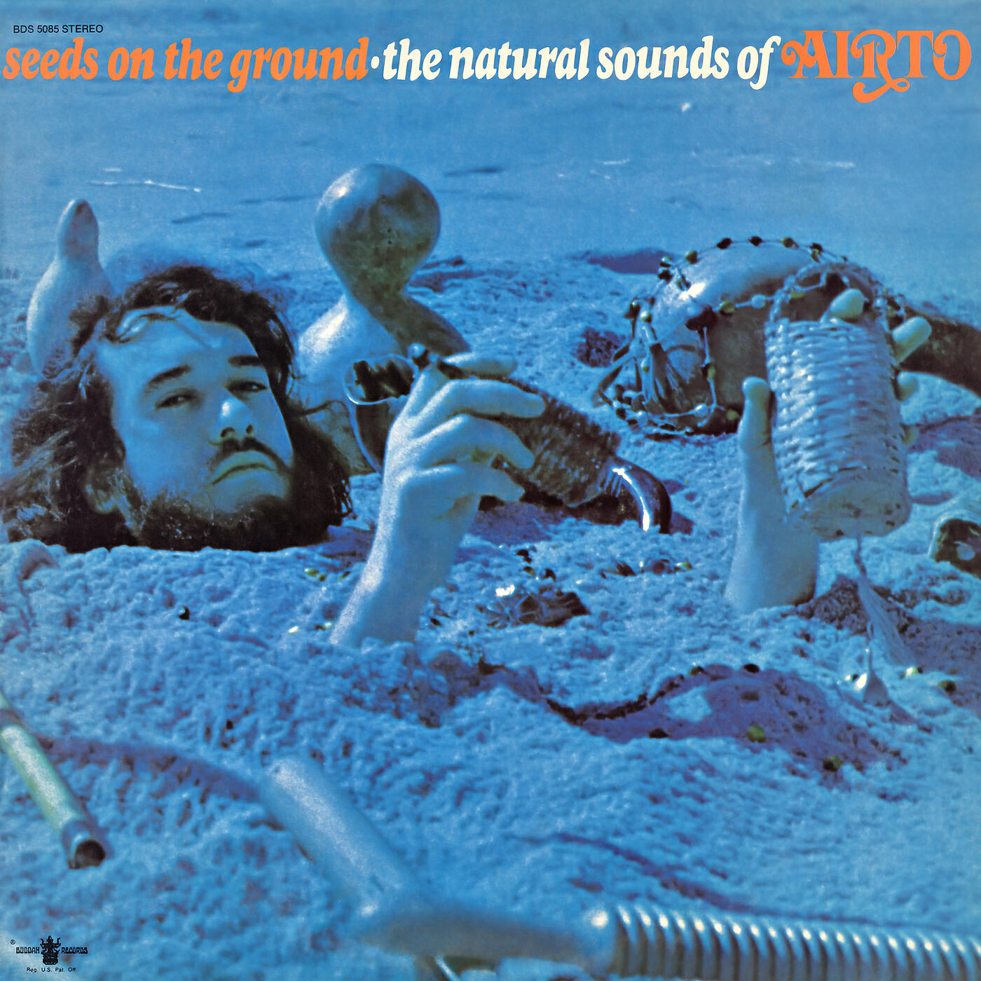 Релиз Seeds On the Ground - The Natural Sounds of Airto