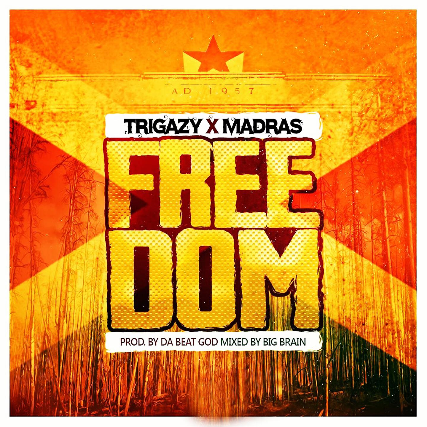 Релиз Freedom