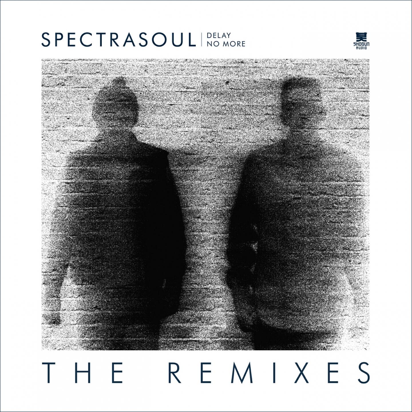 Релиз Delay No More (The Remixes)