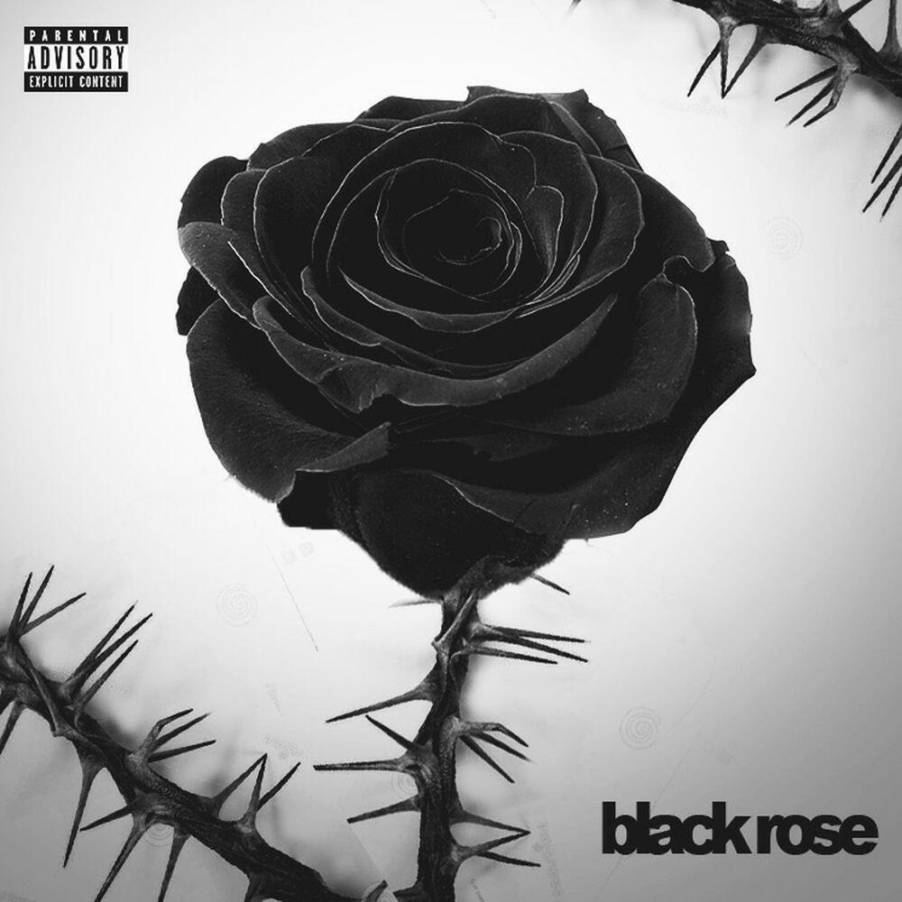 Релиз Black rose