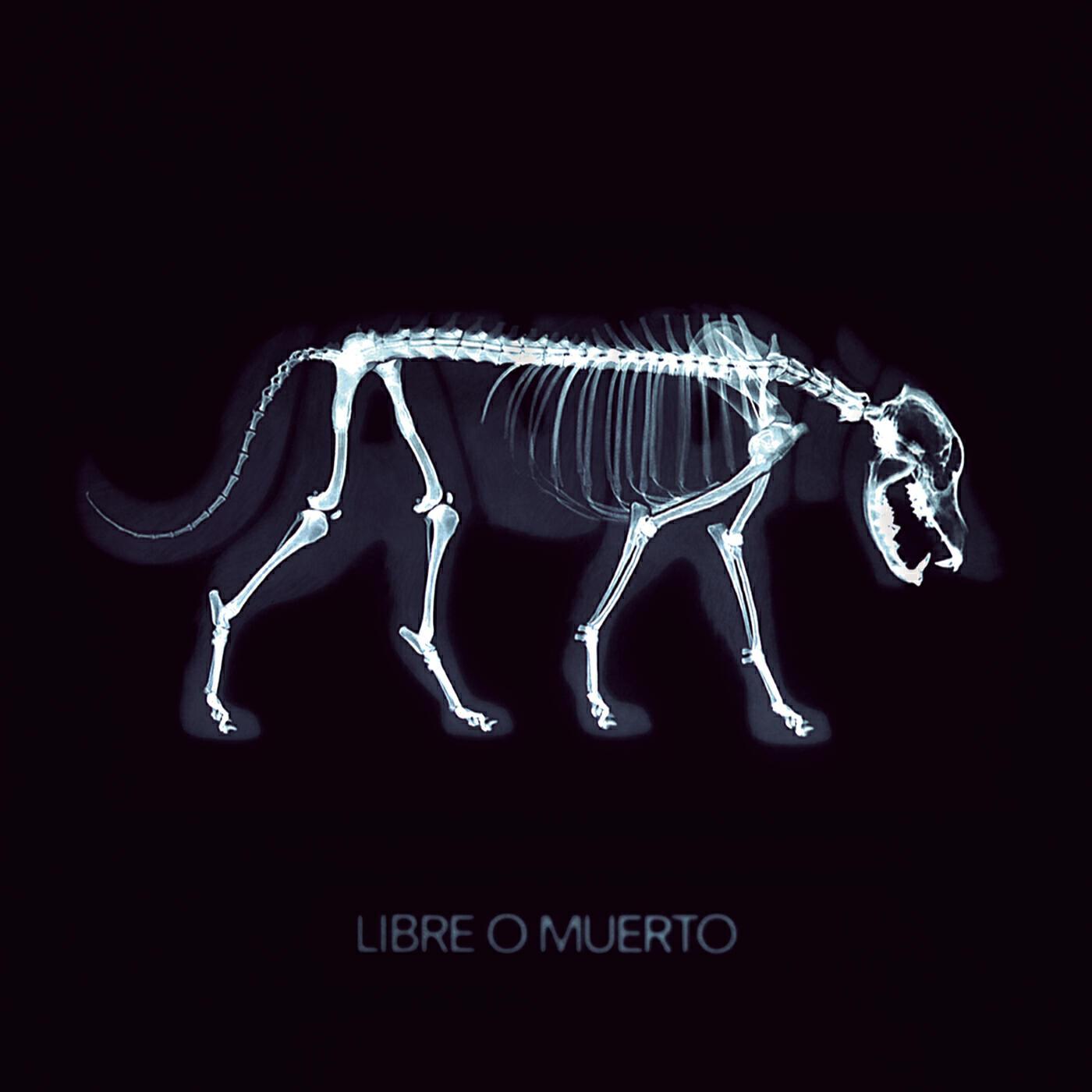 Релиз Libre o Muerto