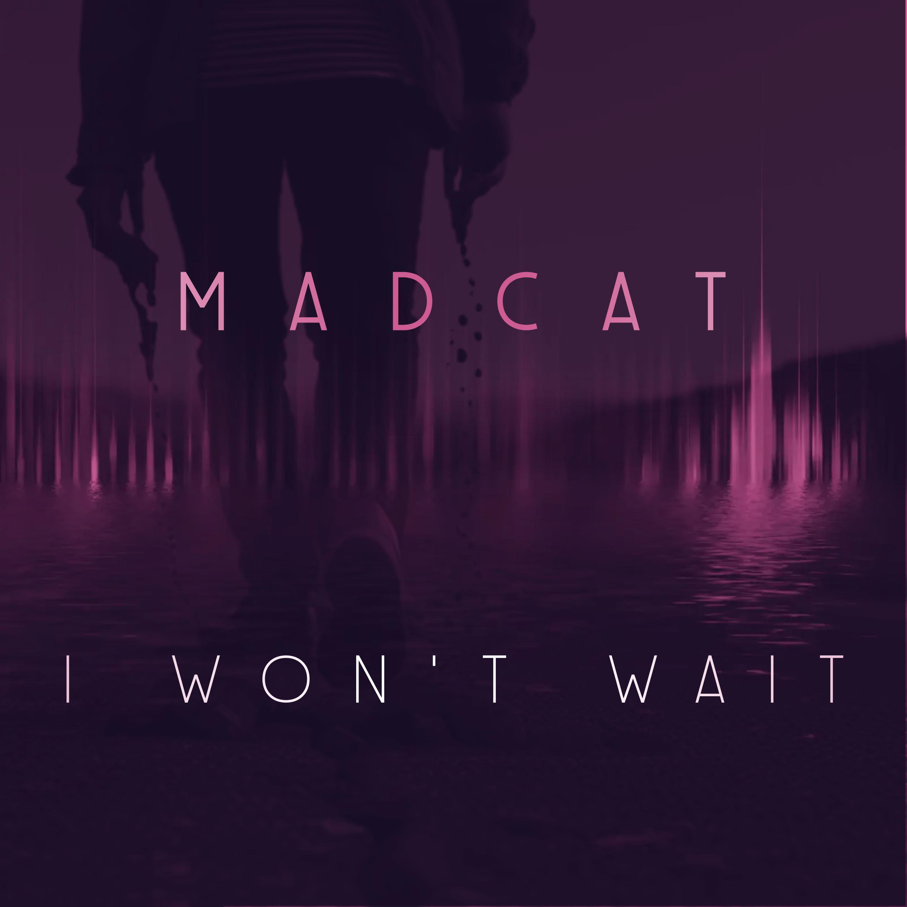 Релиз I Won't Wait (feat. Chris Against The Machine)
