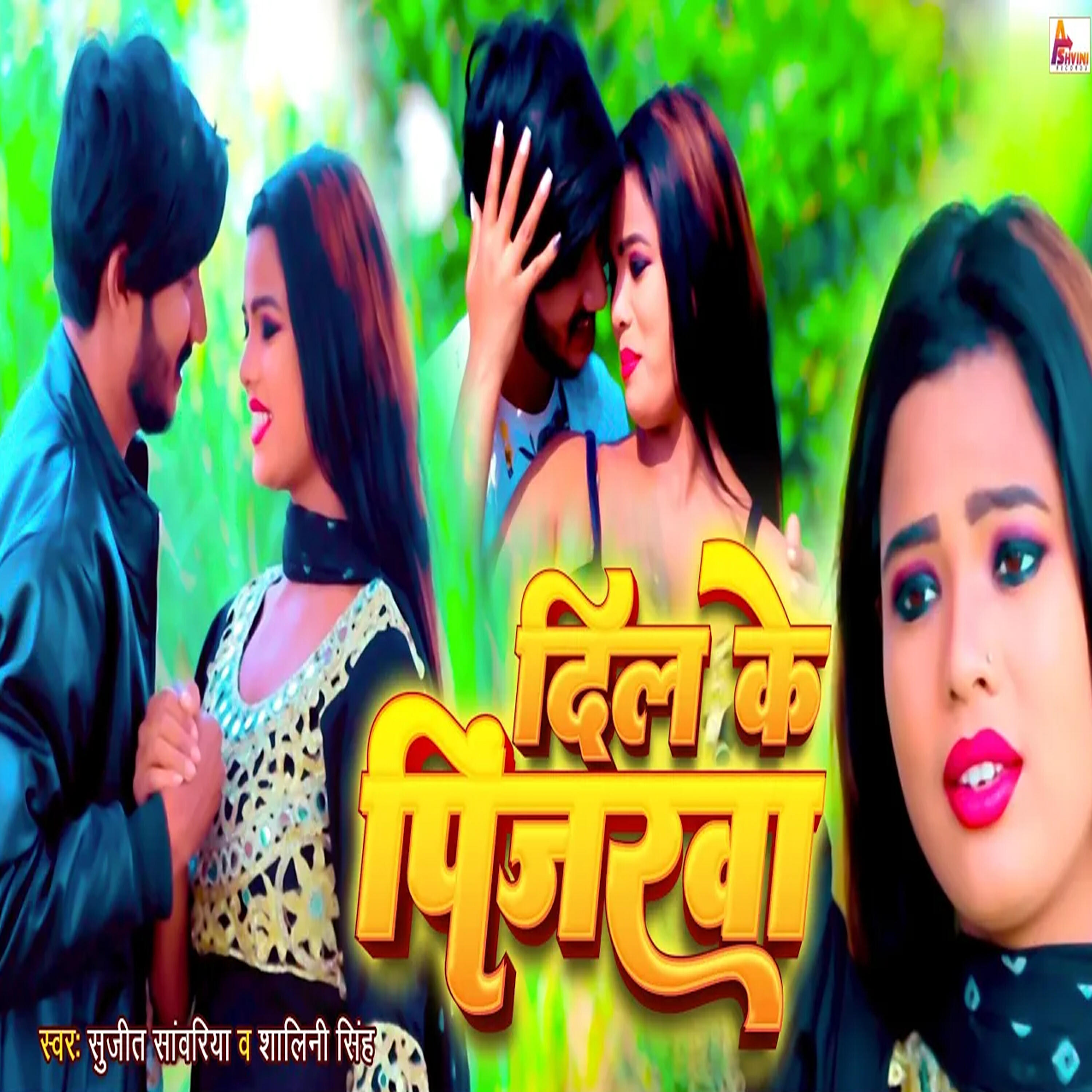 Релиз Dil Ke Pinjarva
