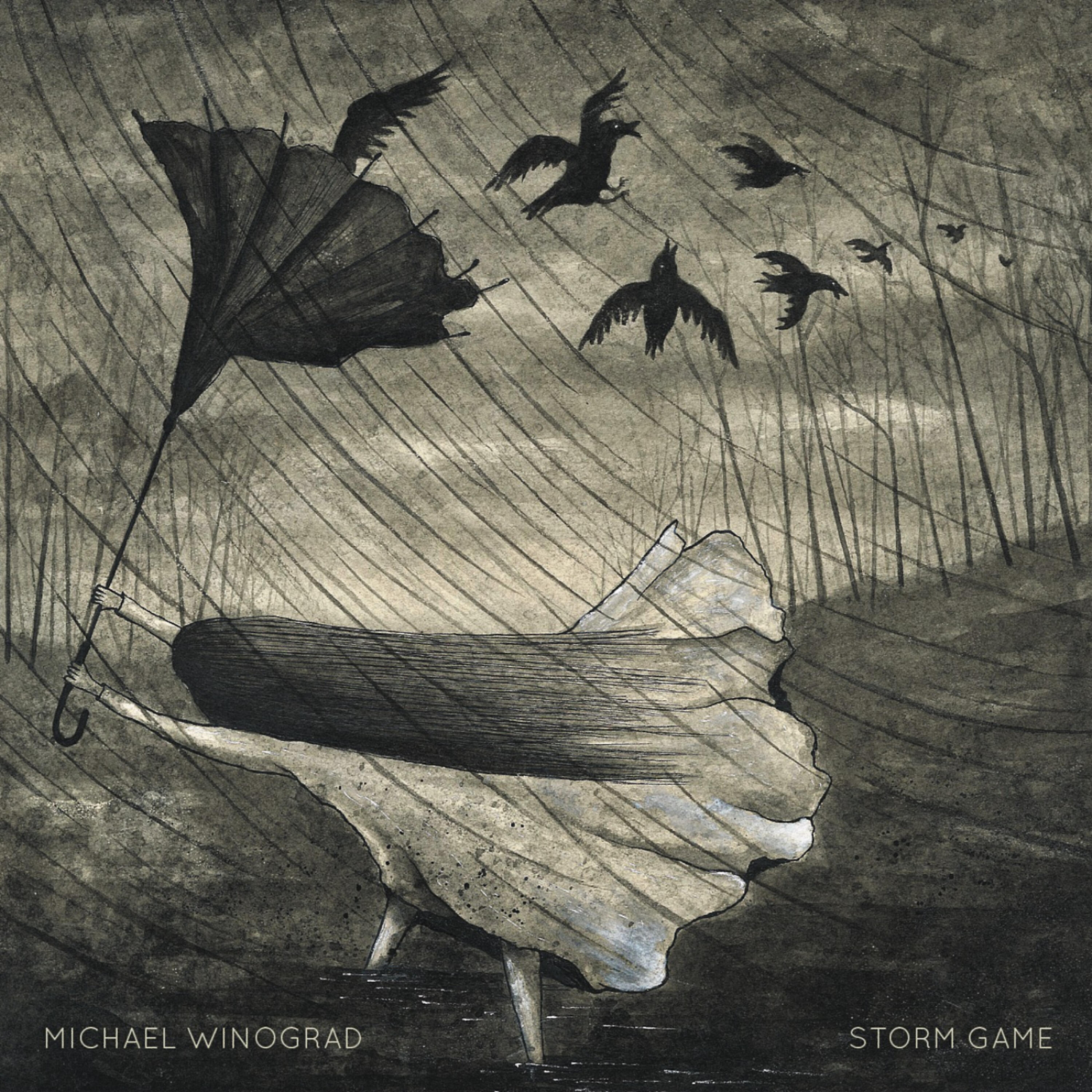 Релиз Storm Game