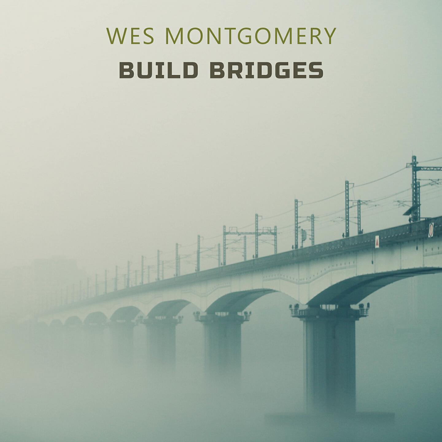 Постер альбома Build Bridges