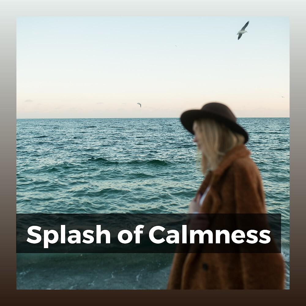 Релиз Splash of Calmness