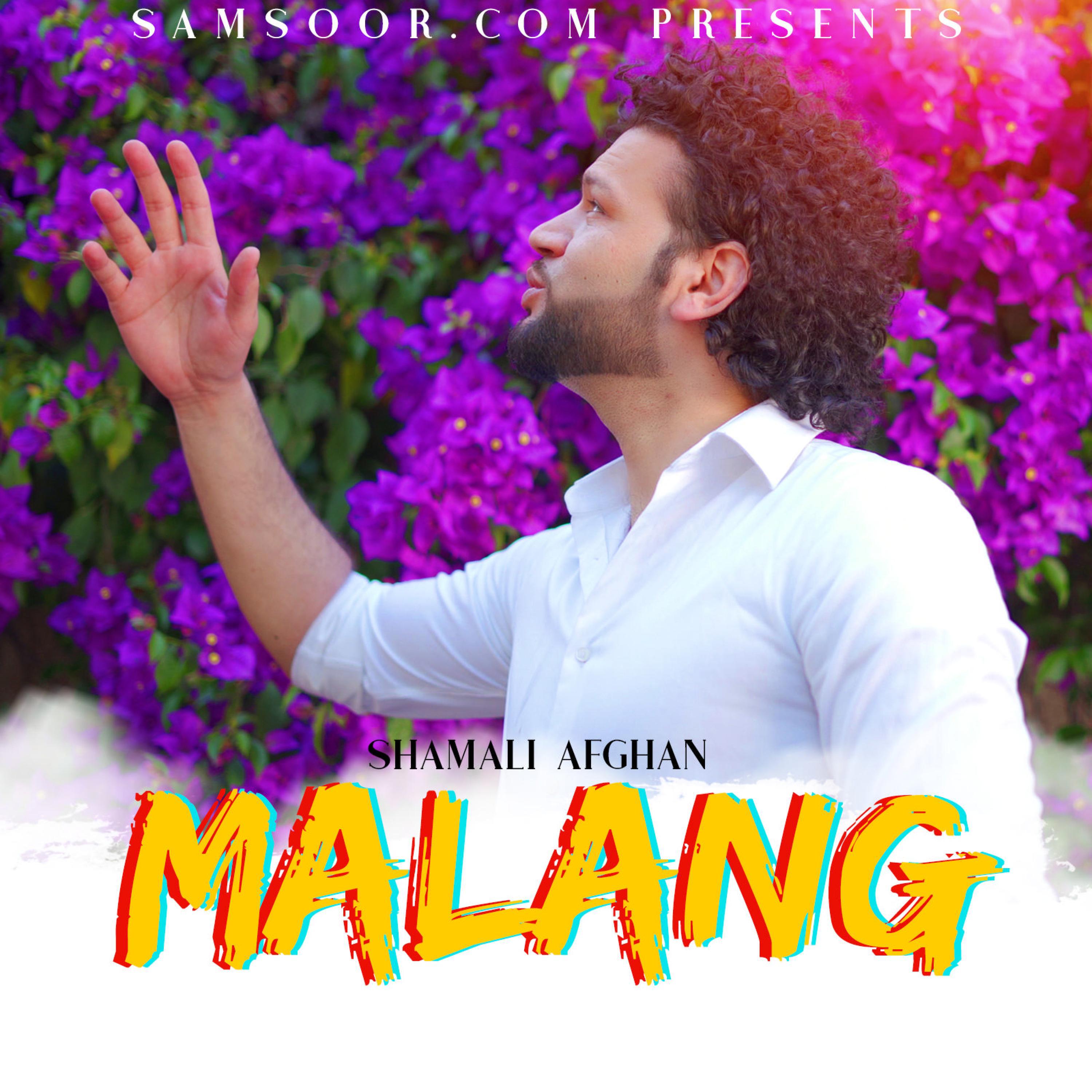 Постер альбома Malang