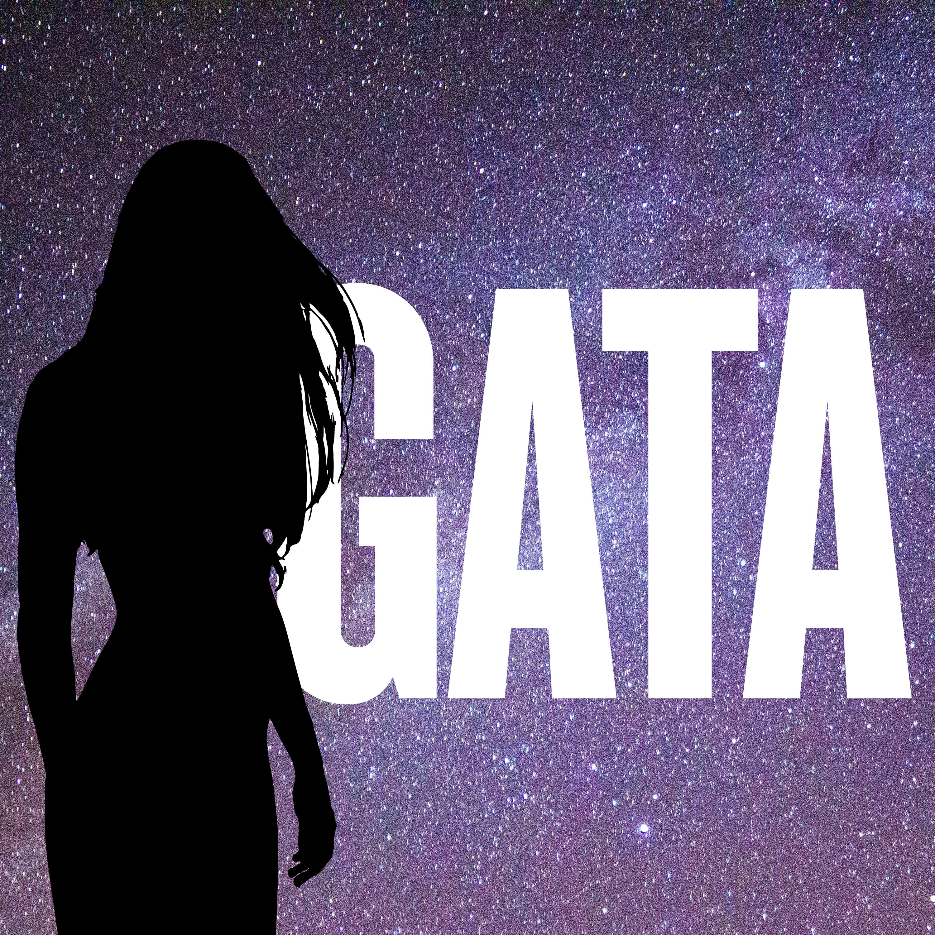 Релиз Gata