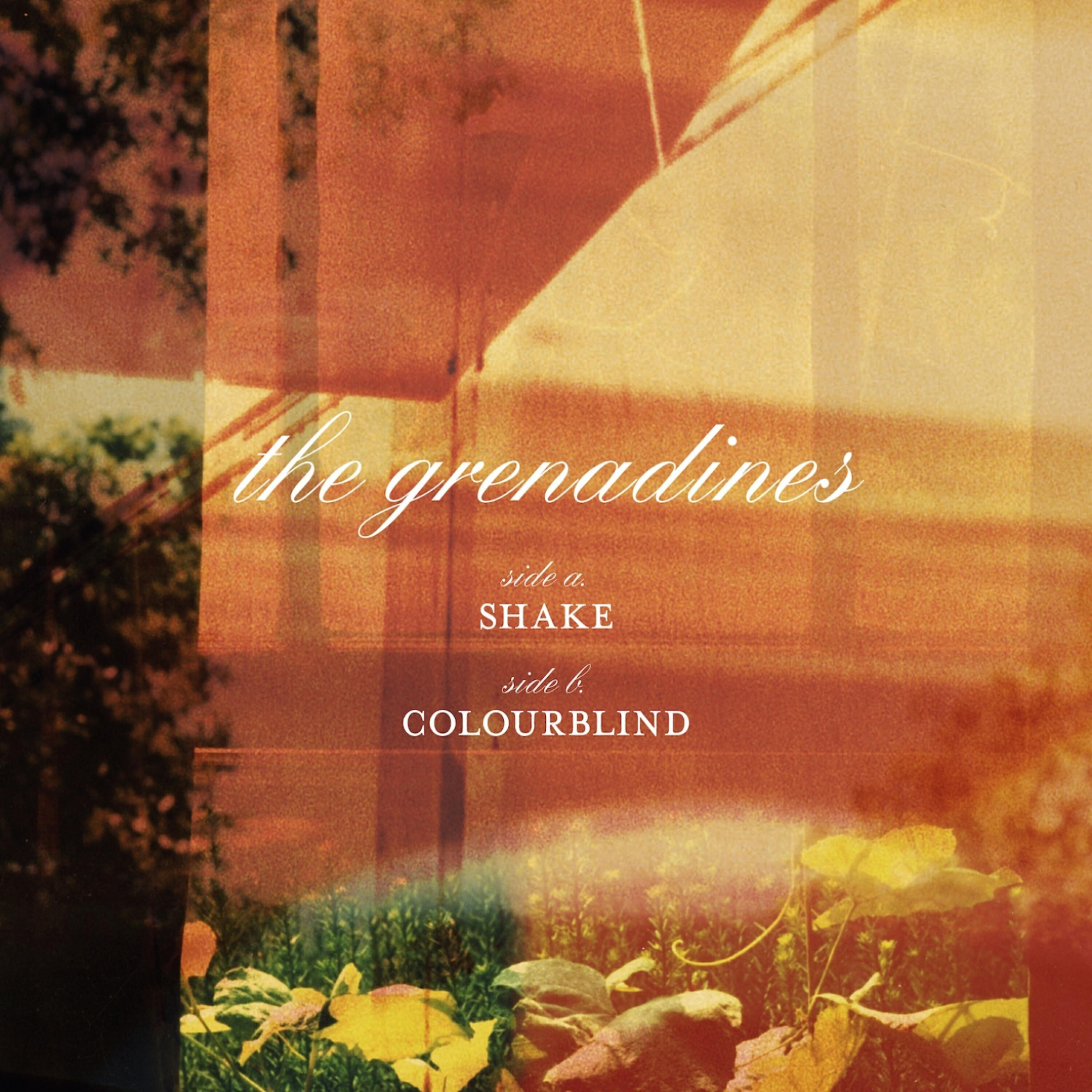 Релиз Shake b/w Colourblind