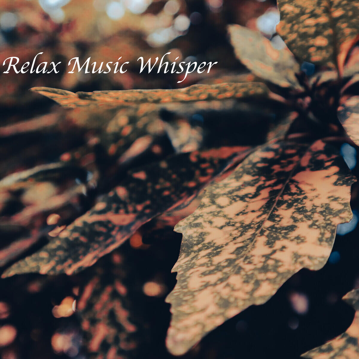 Релиз Relax Music Whisper