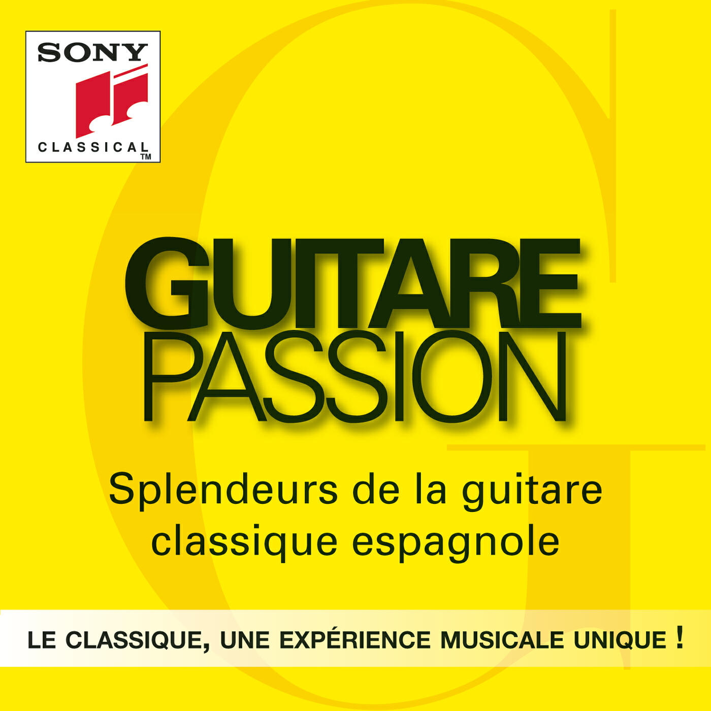 Релиз Guitare Passion