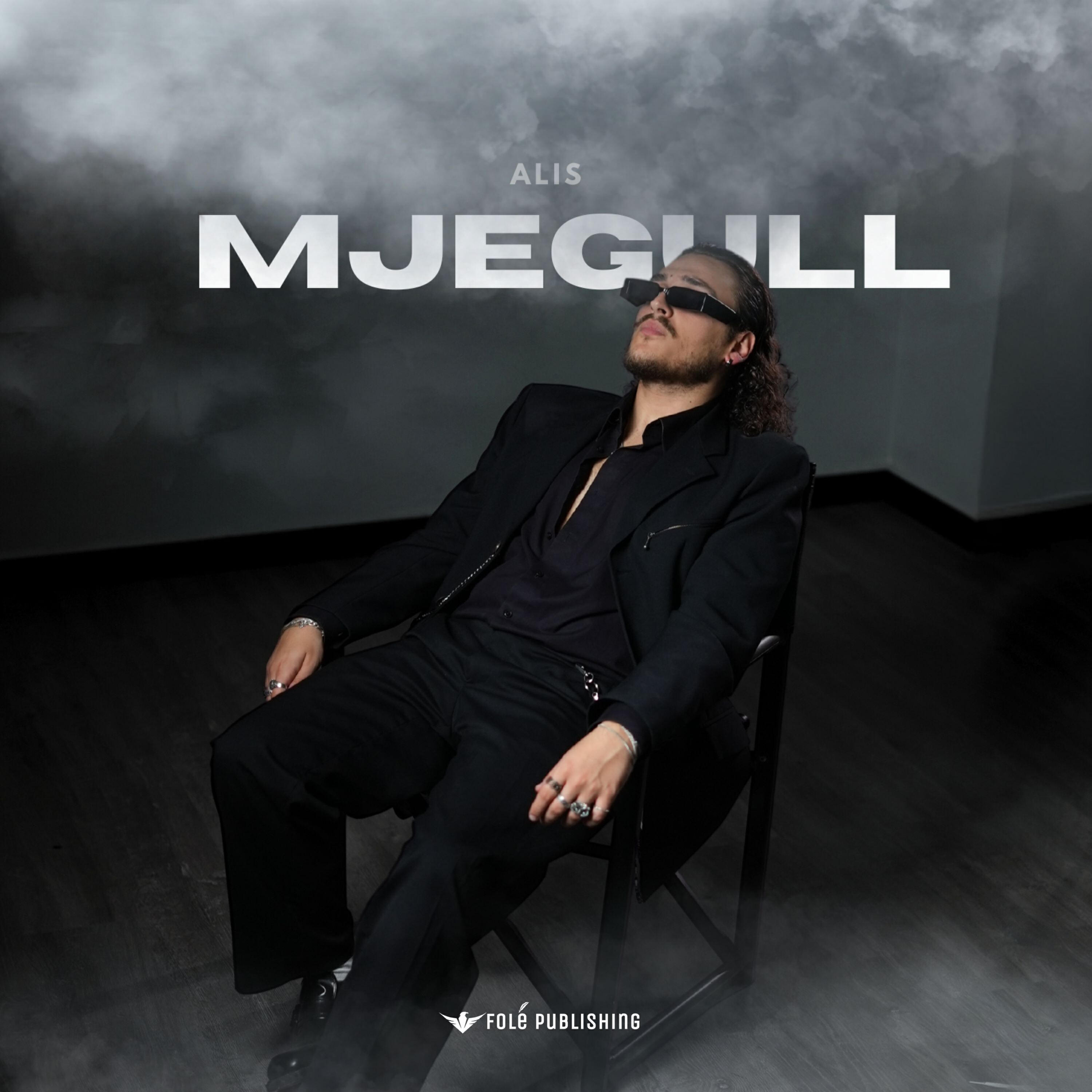 Релиз Mjegull