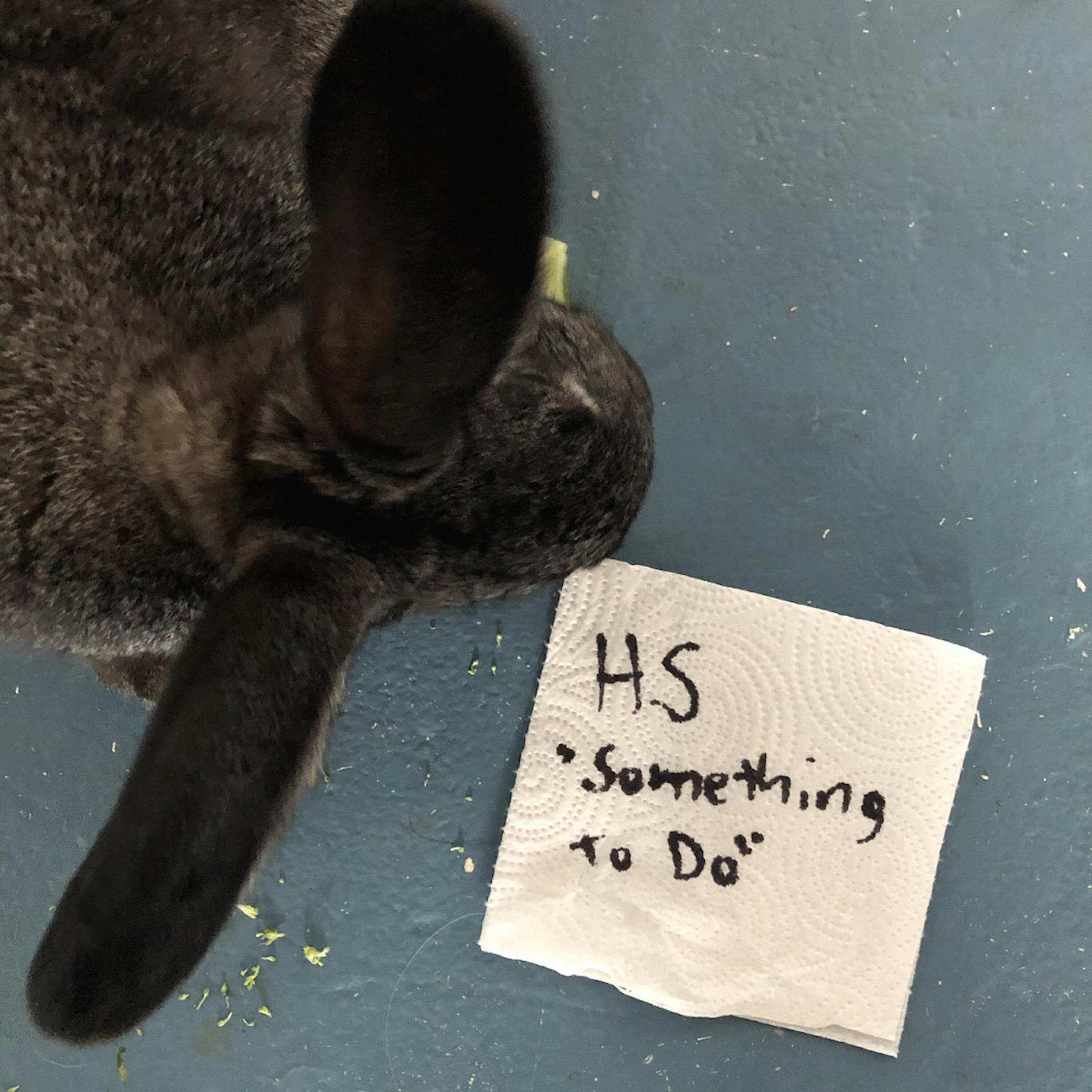 Релиз Something to Do