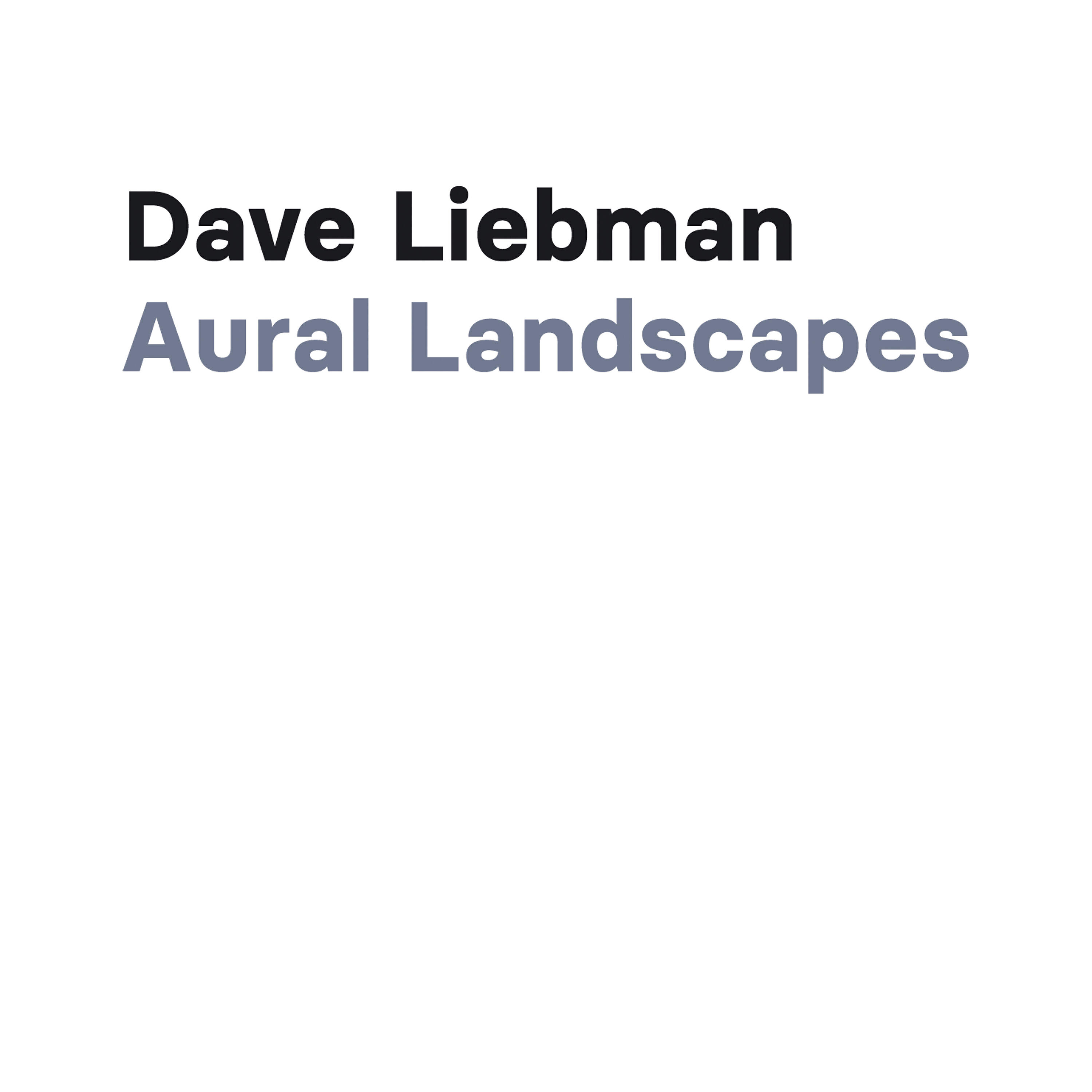 Релиз Aural Landscapes