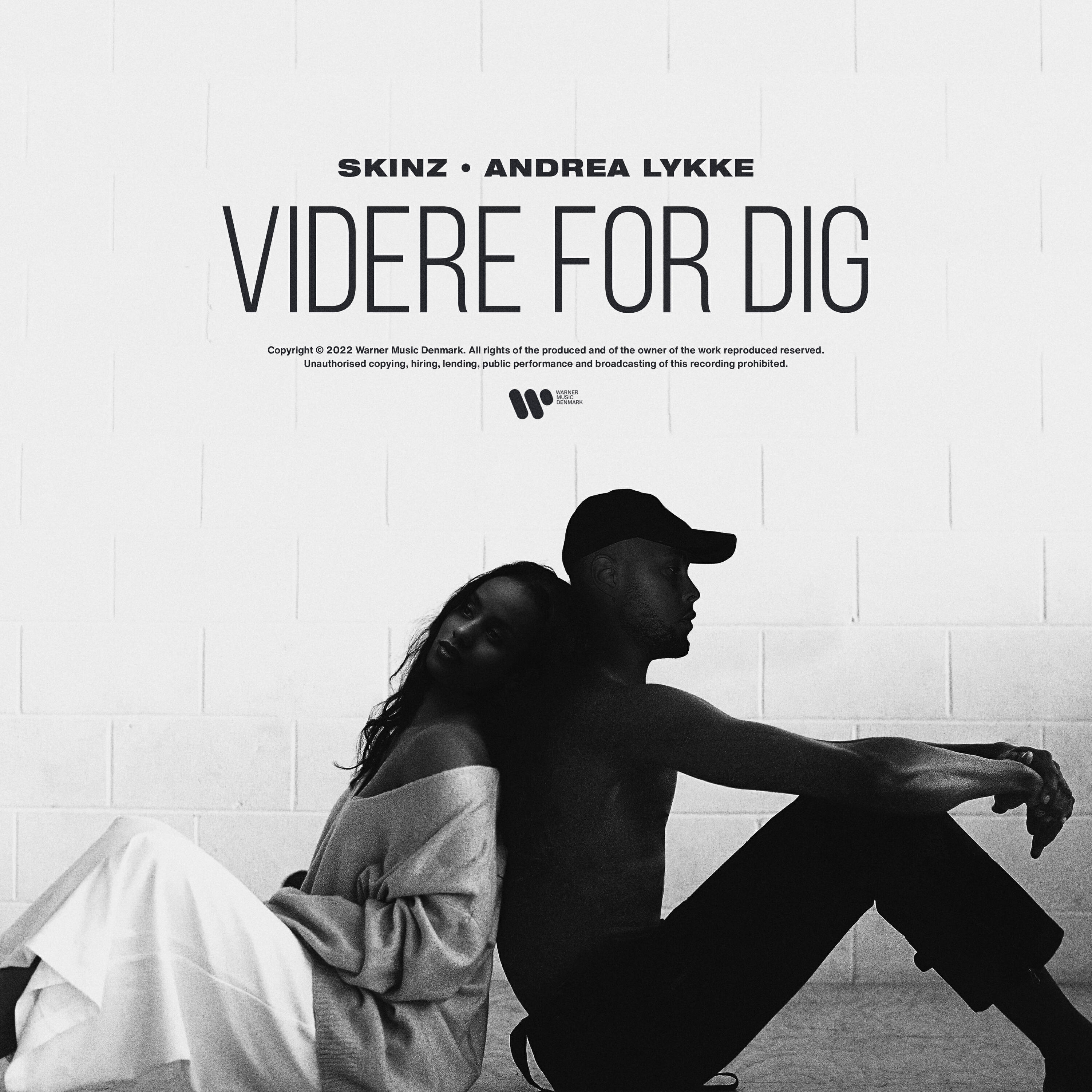 Релиз Videre For Dig