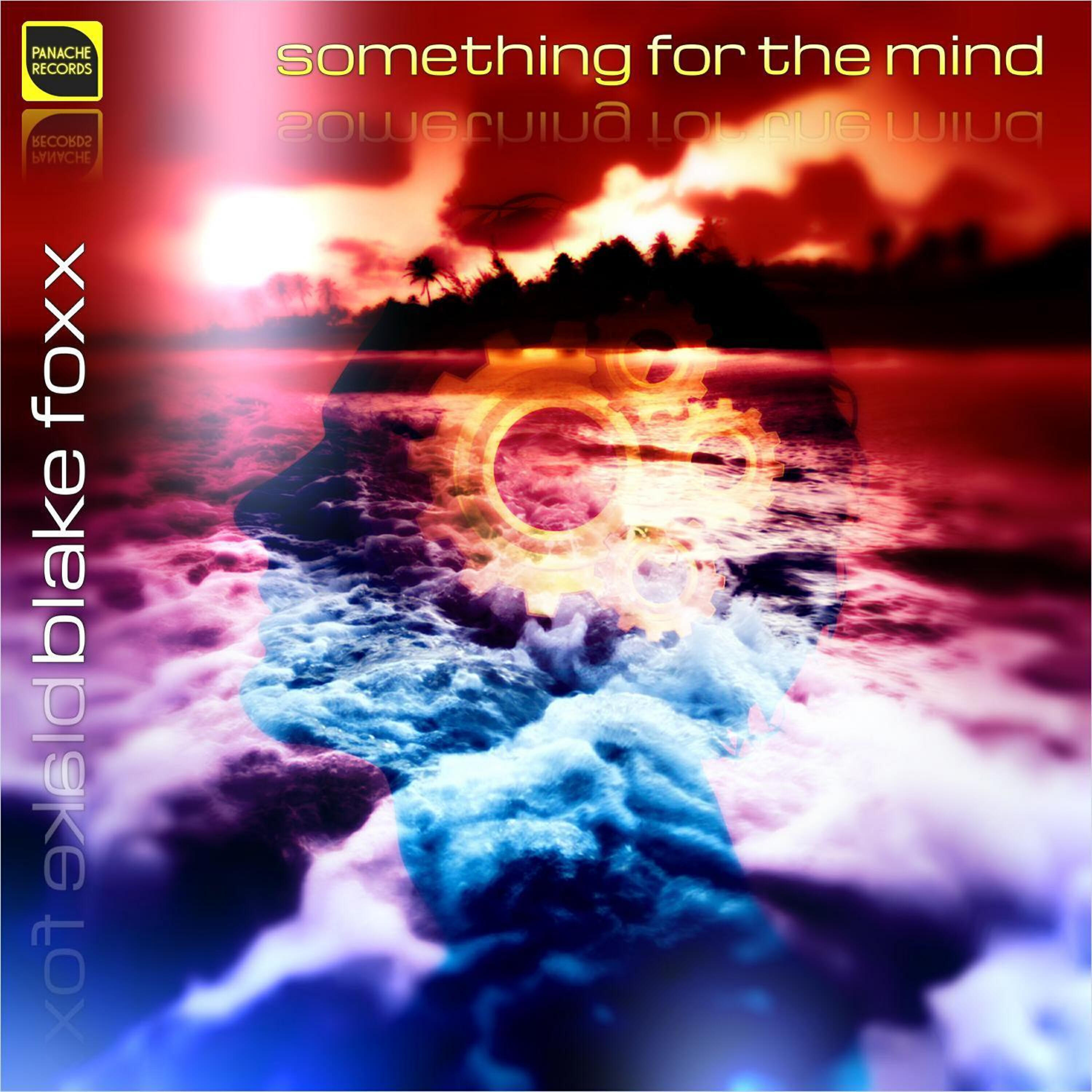 Релиз Something for the Mind