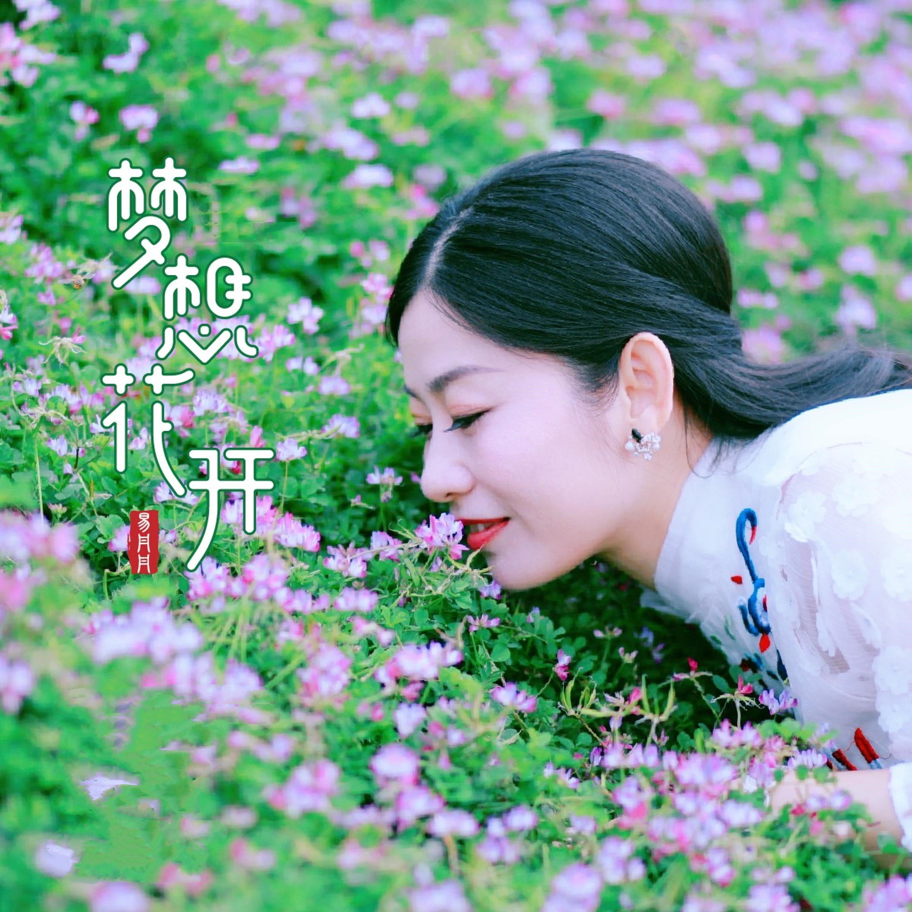 Релиз 梦想花开