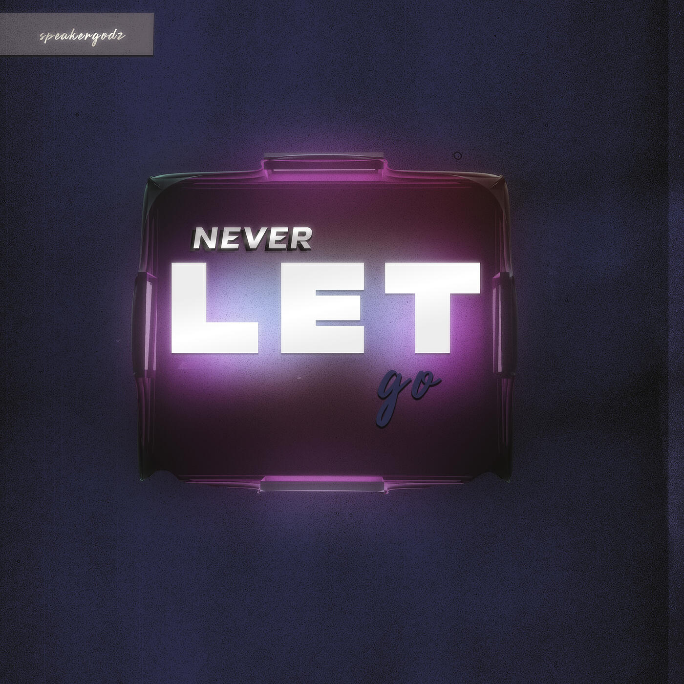 Постер альбома Never Let Go