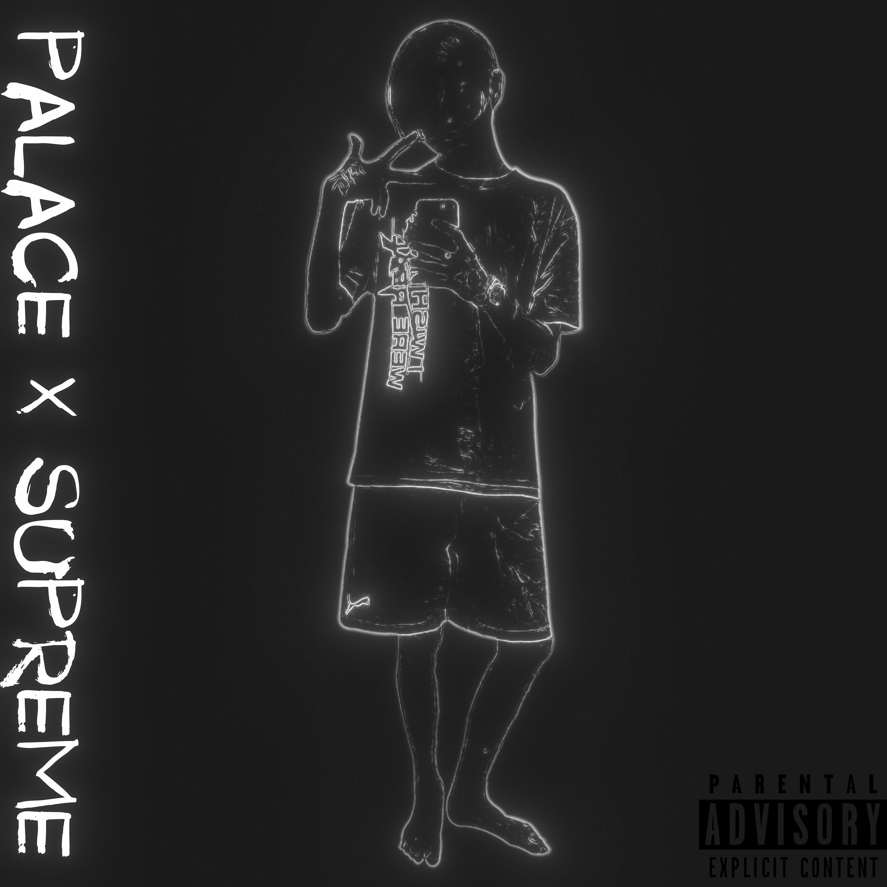 Релиз Palace X Supreme