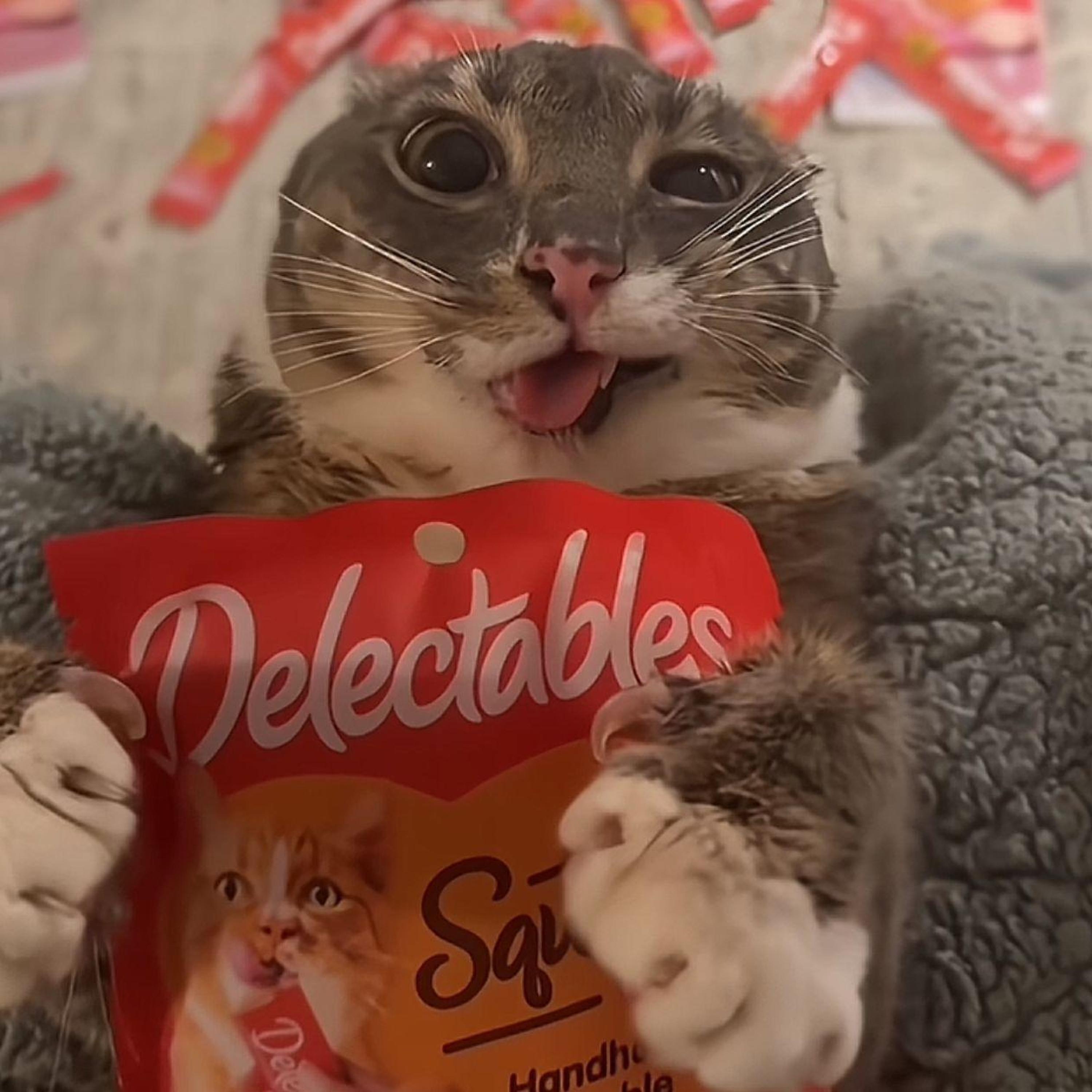 Релиз Happy Cat