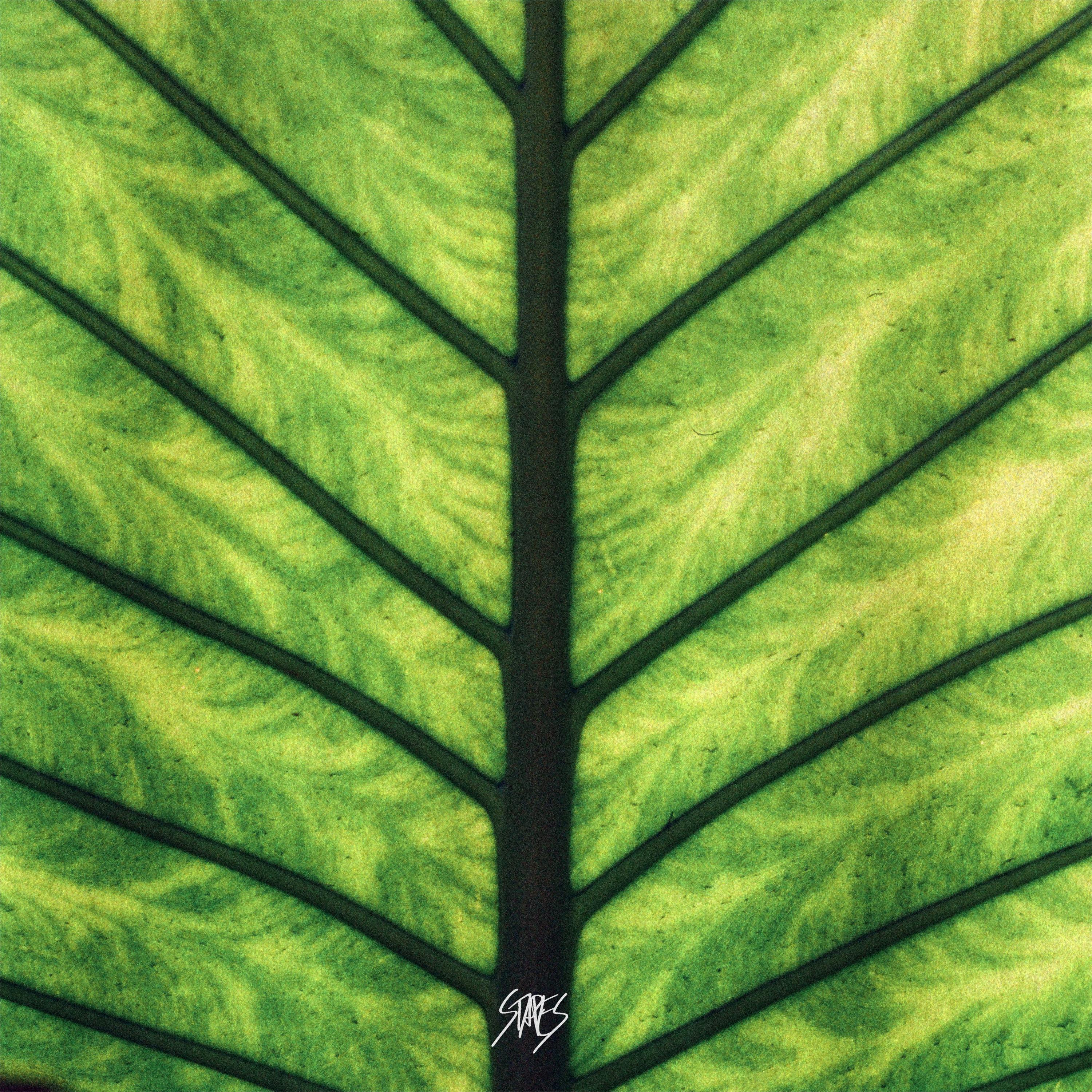 Релиз Vibrance