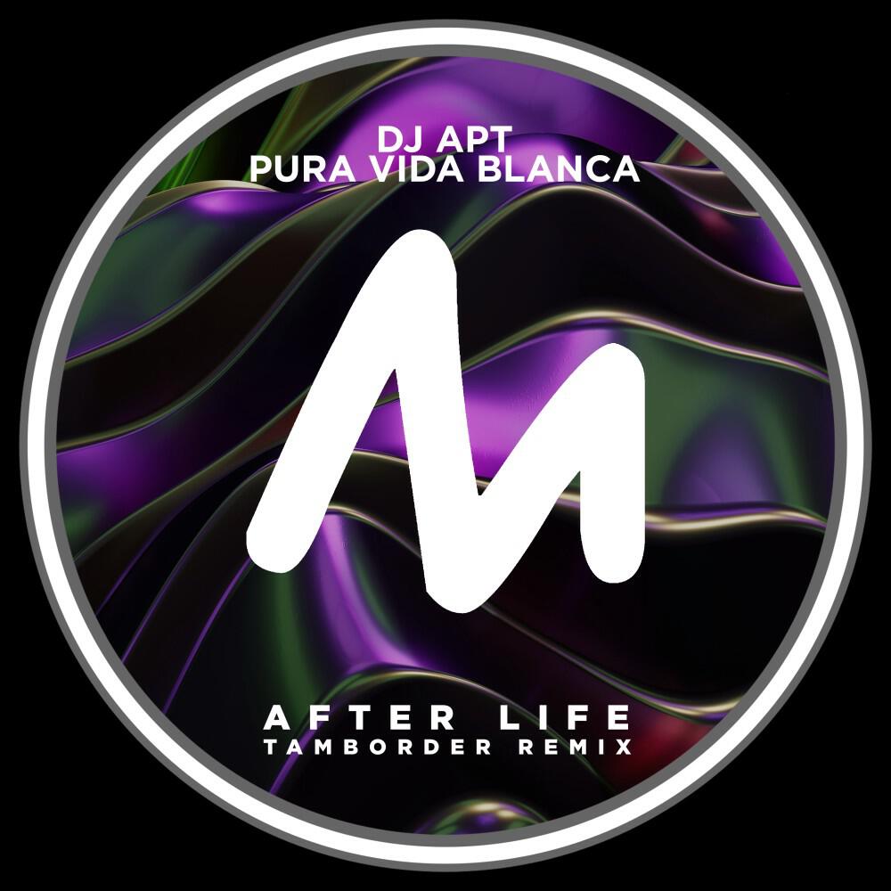 Релиз After Life (Tamborder Remix)