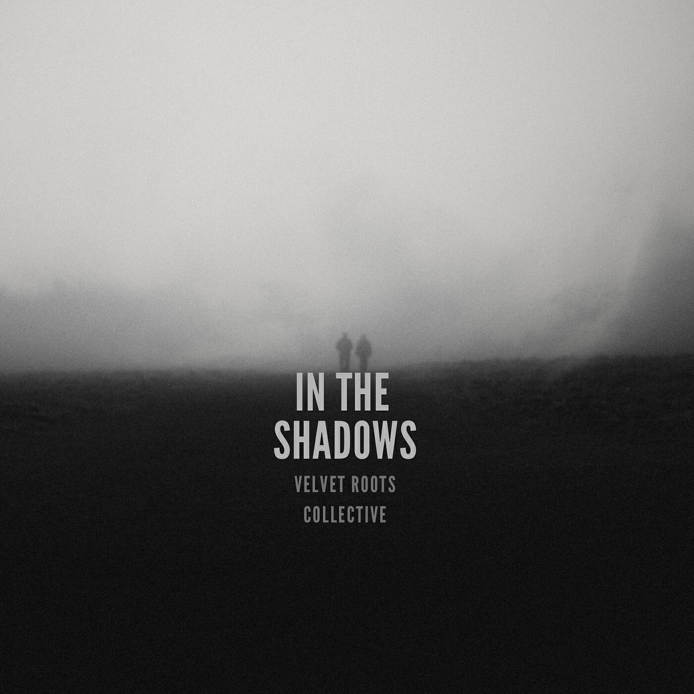 Релиз In the Shadows