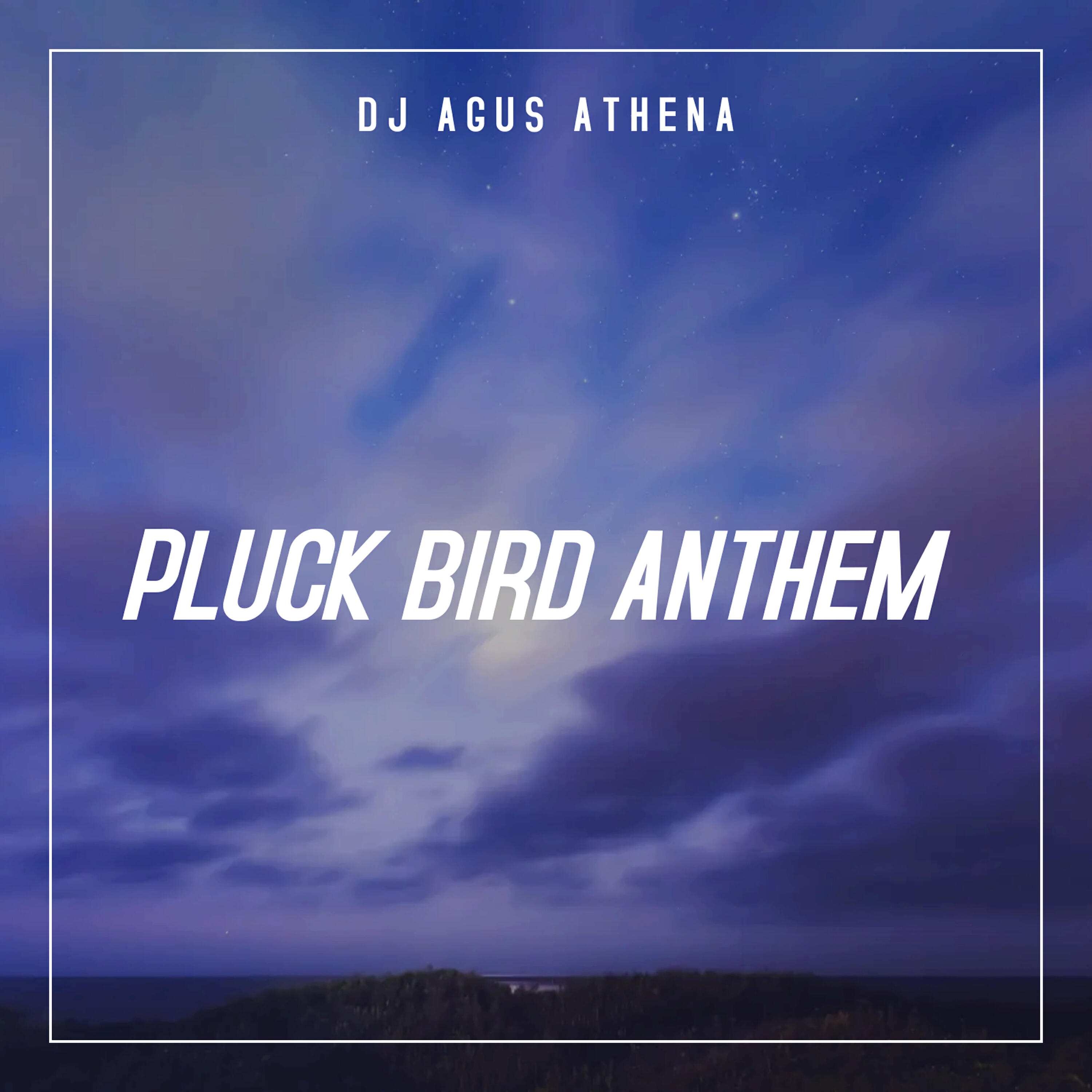 Релиз Pluck Bird Anthem