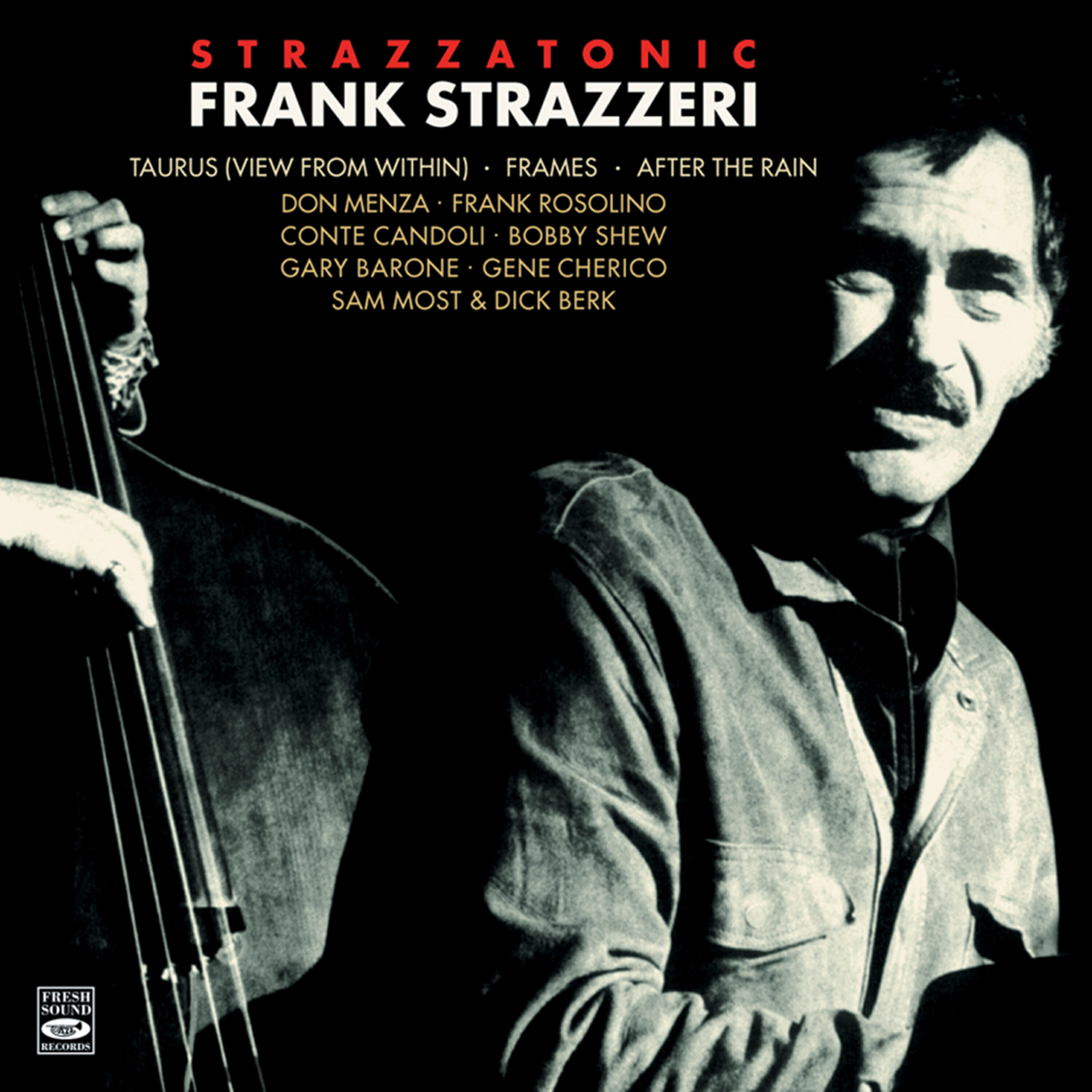 Релиз Frank Strazzeri. Strazzatonic. Taurus / Frames / View from Within