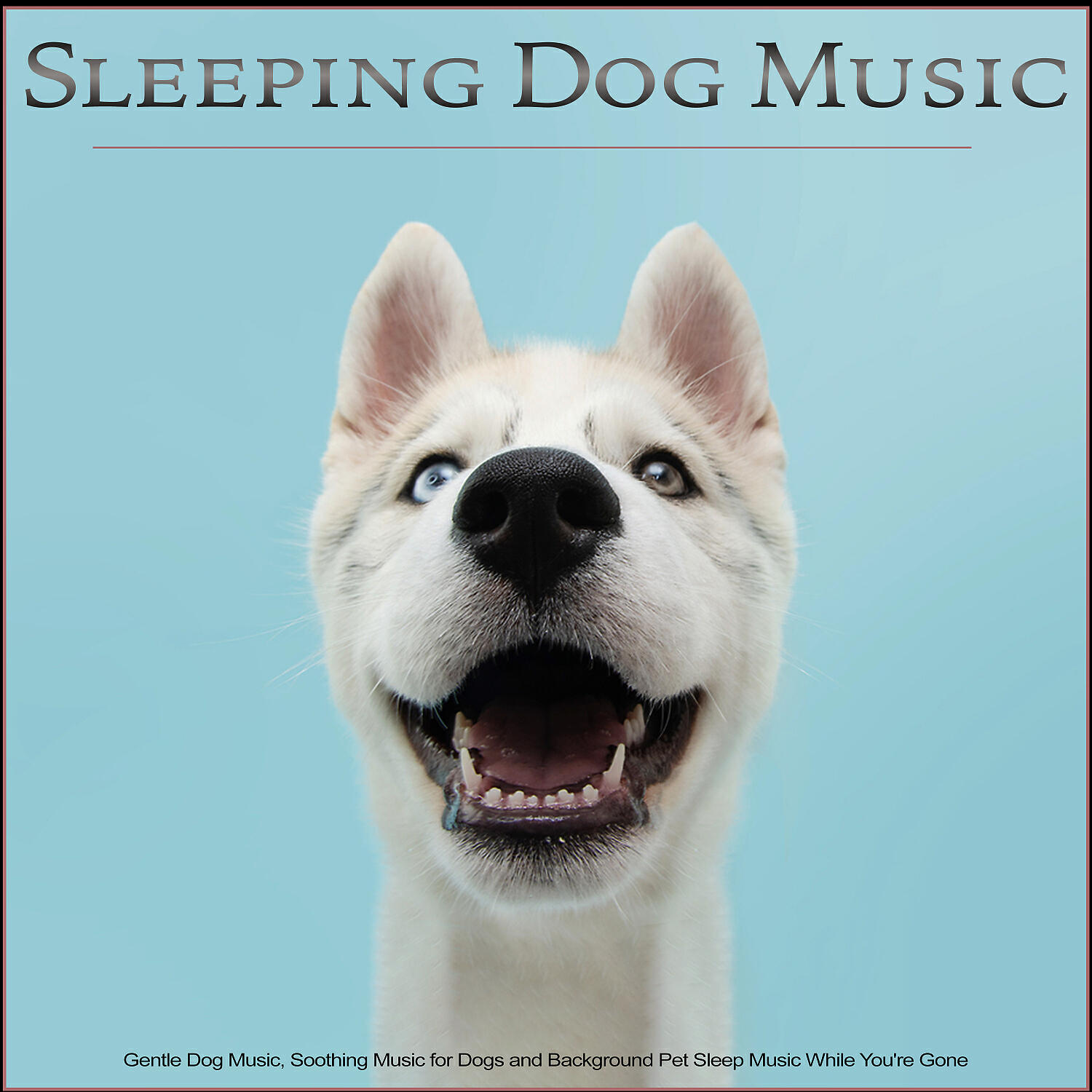 Релиз Sleeping Dog Music: Gentle Dog Music, Soothing Music for Dogs and Background Pet Sleep Music While You're Gone