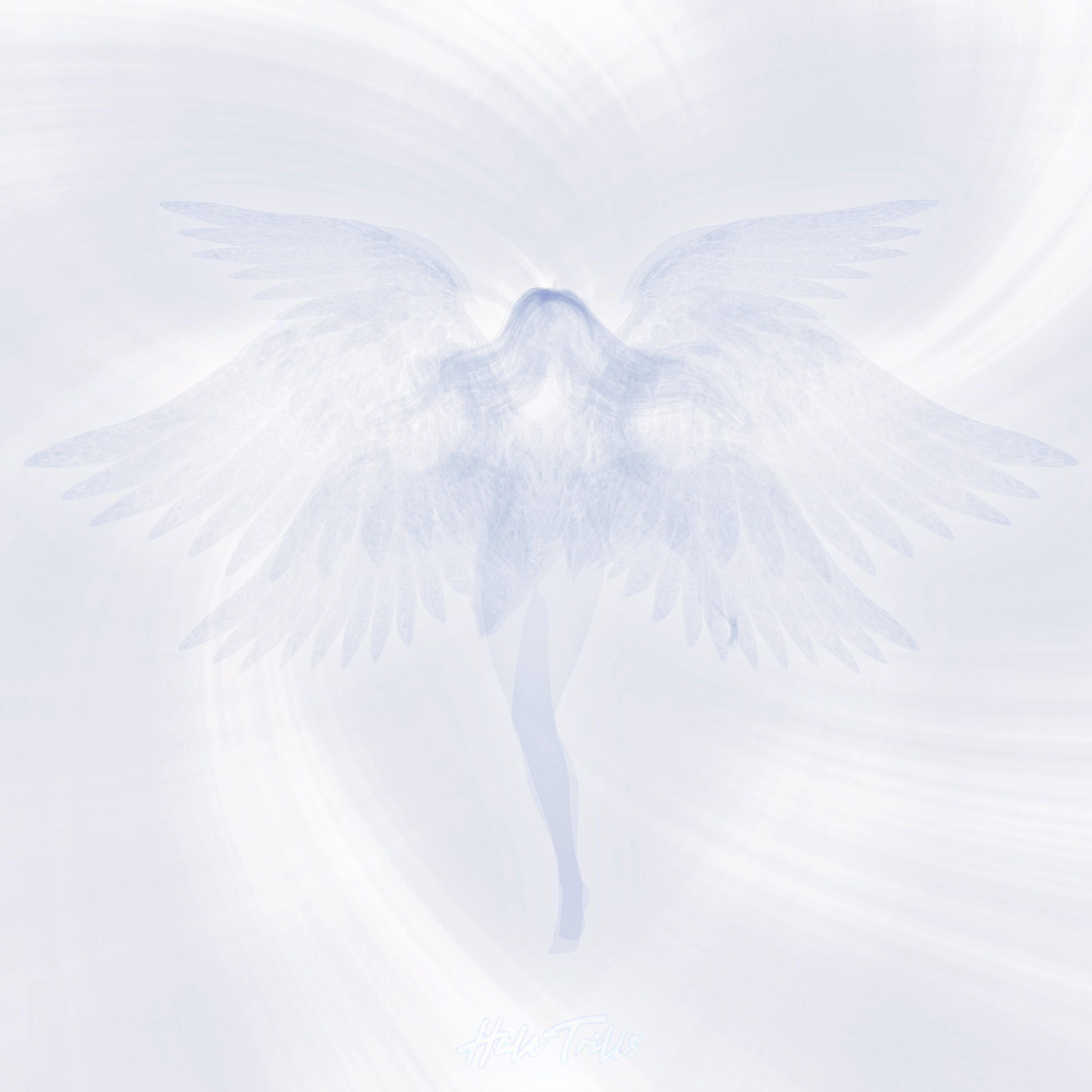Релиз Angels of Seasons