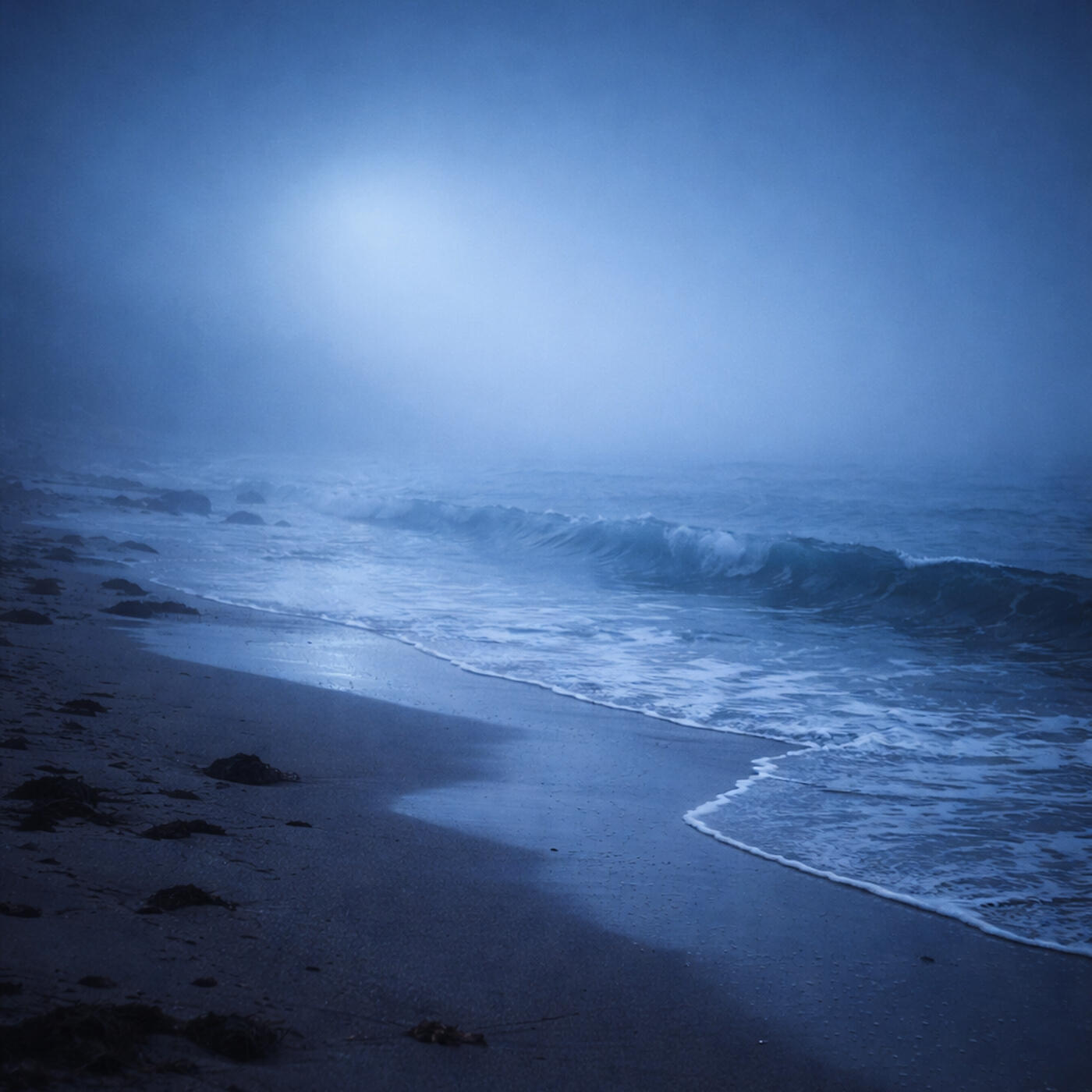 Релиз Washed Ashore