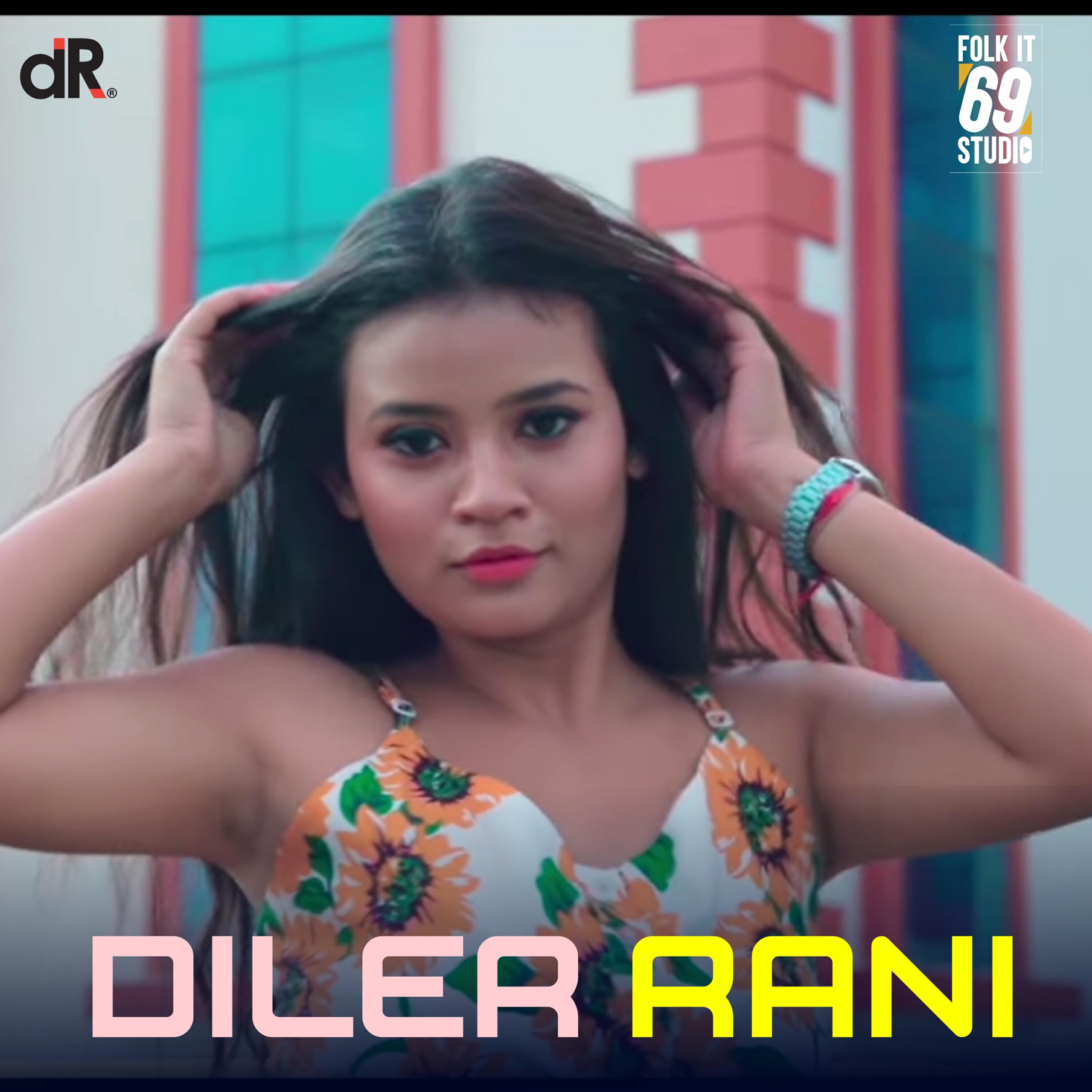 Релиз DILER RAANI