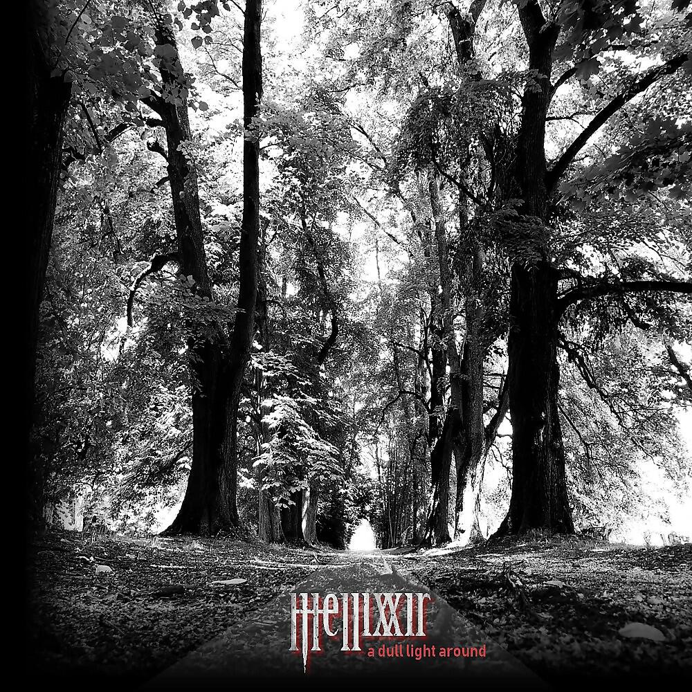 Релиз A Dull Light Around