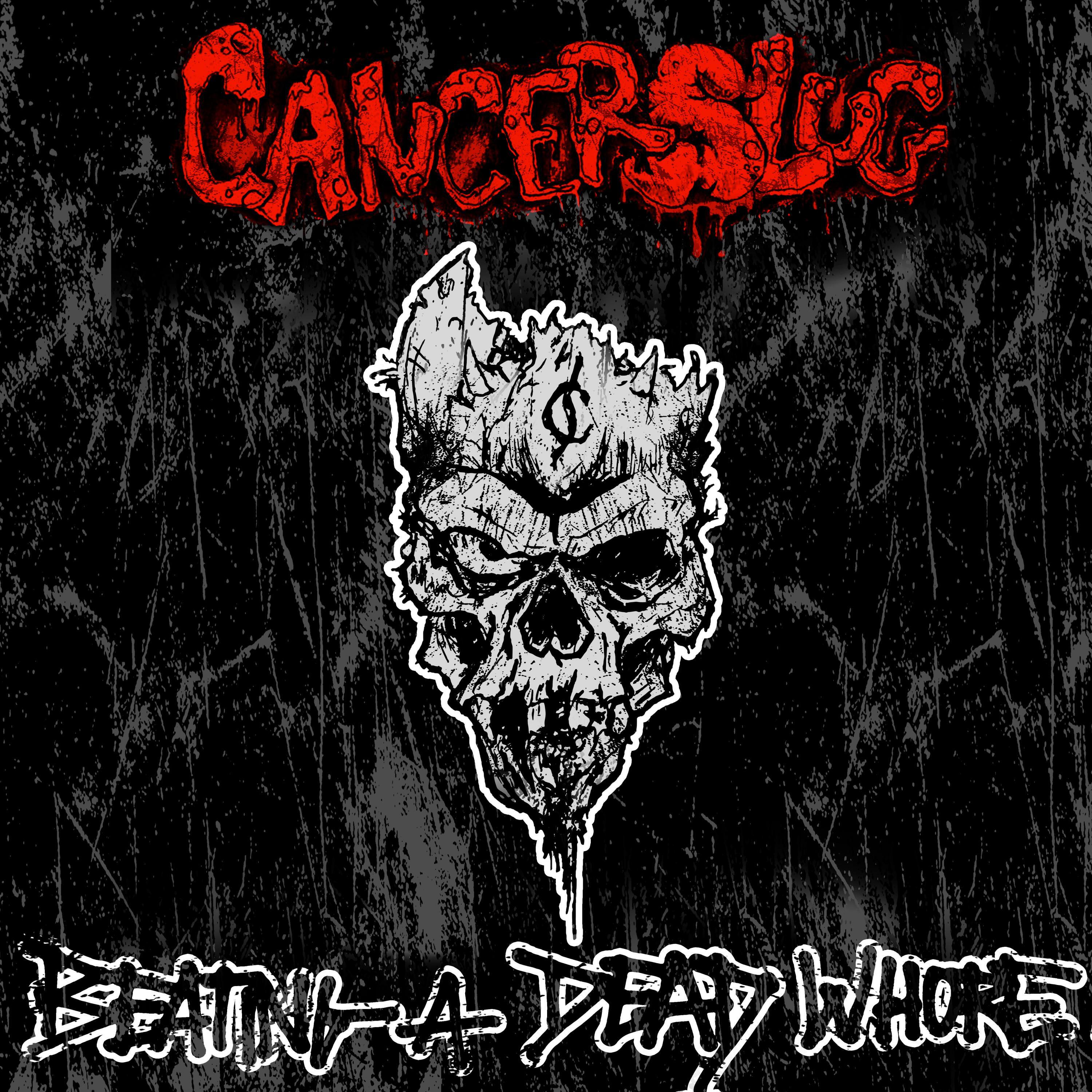 Релиз Beating a Dead Whore
