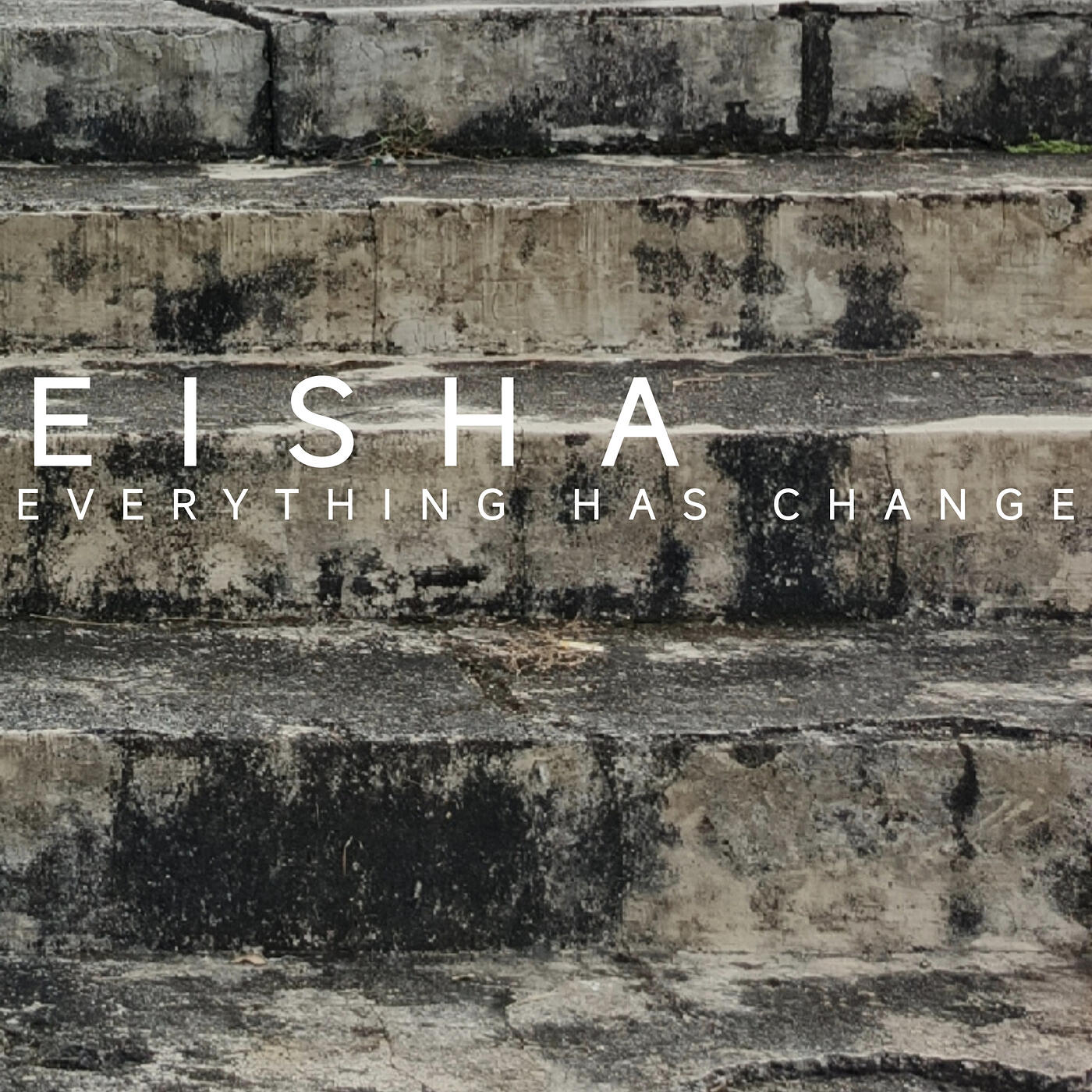Релиз Everything Has Change